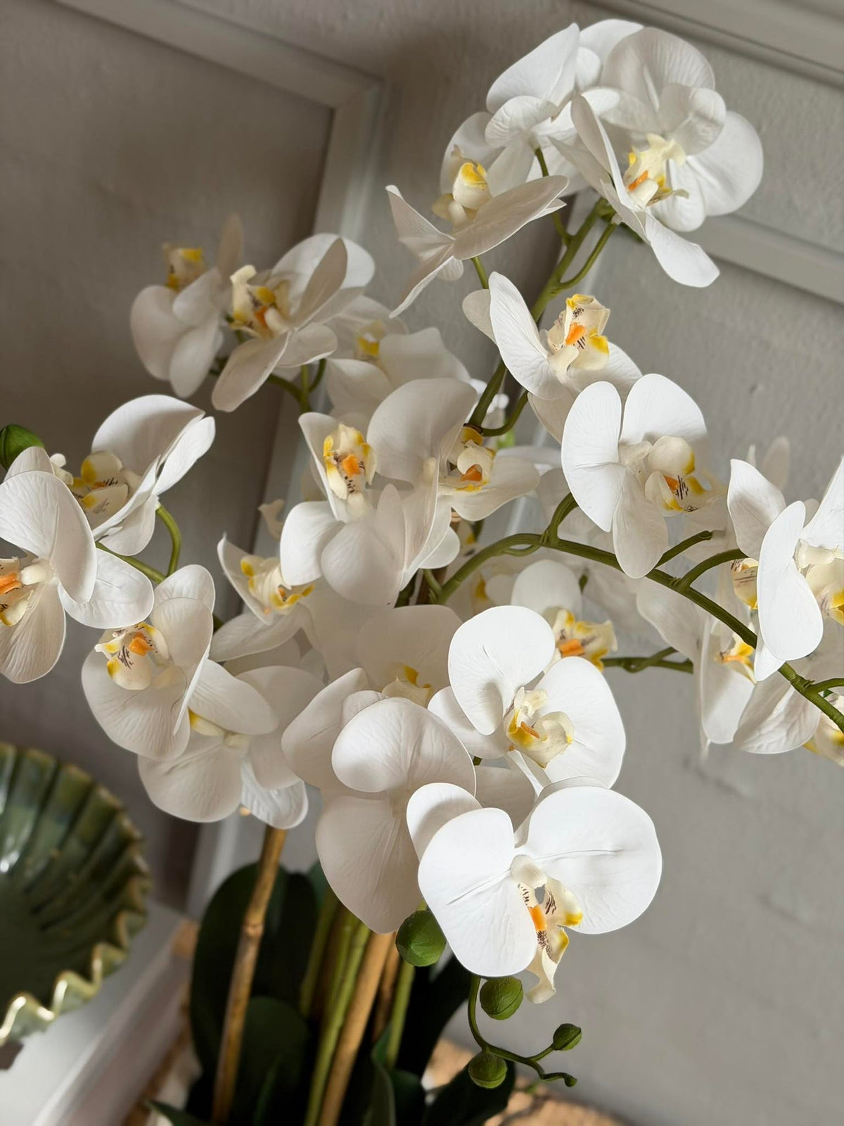 Orchidee in Pot 65 cm - Wit