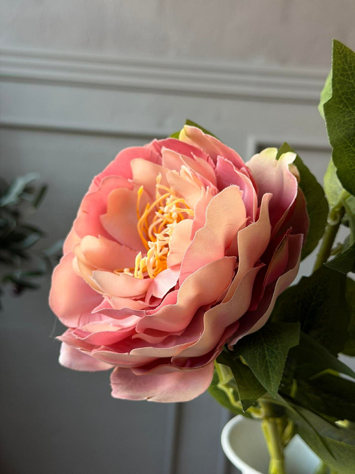 Bloem Pioen Roze