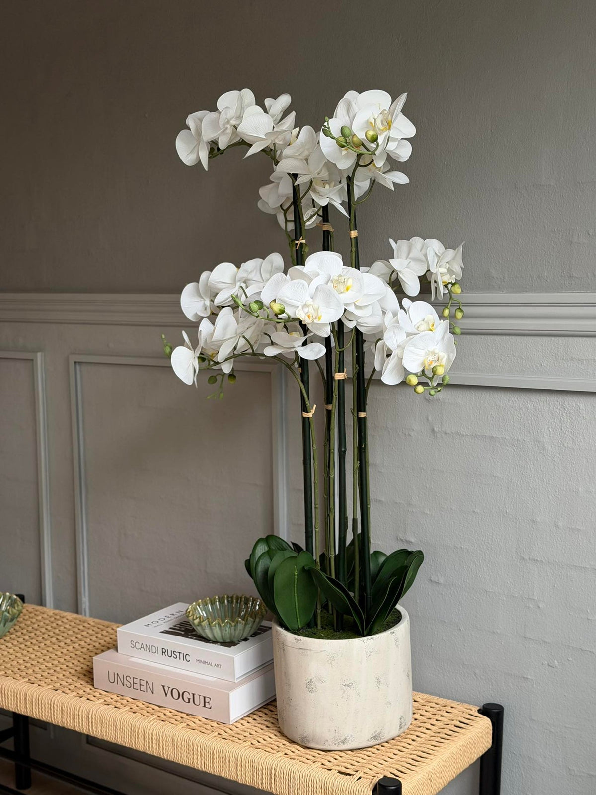 Orchidee in Pot 105 cm - Wit