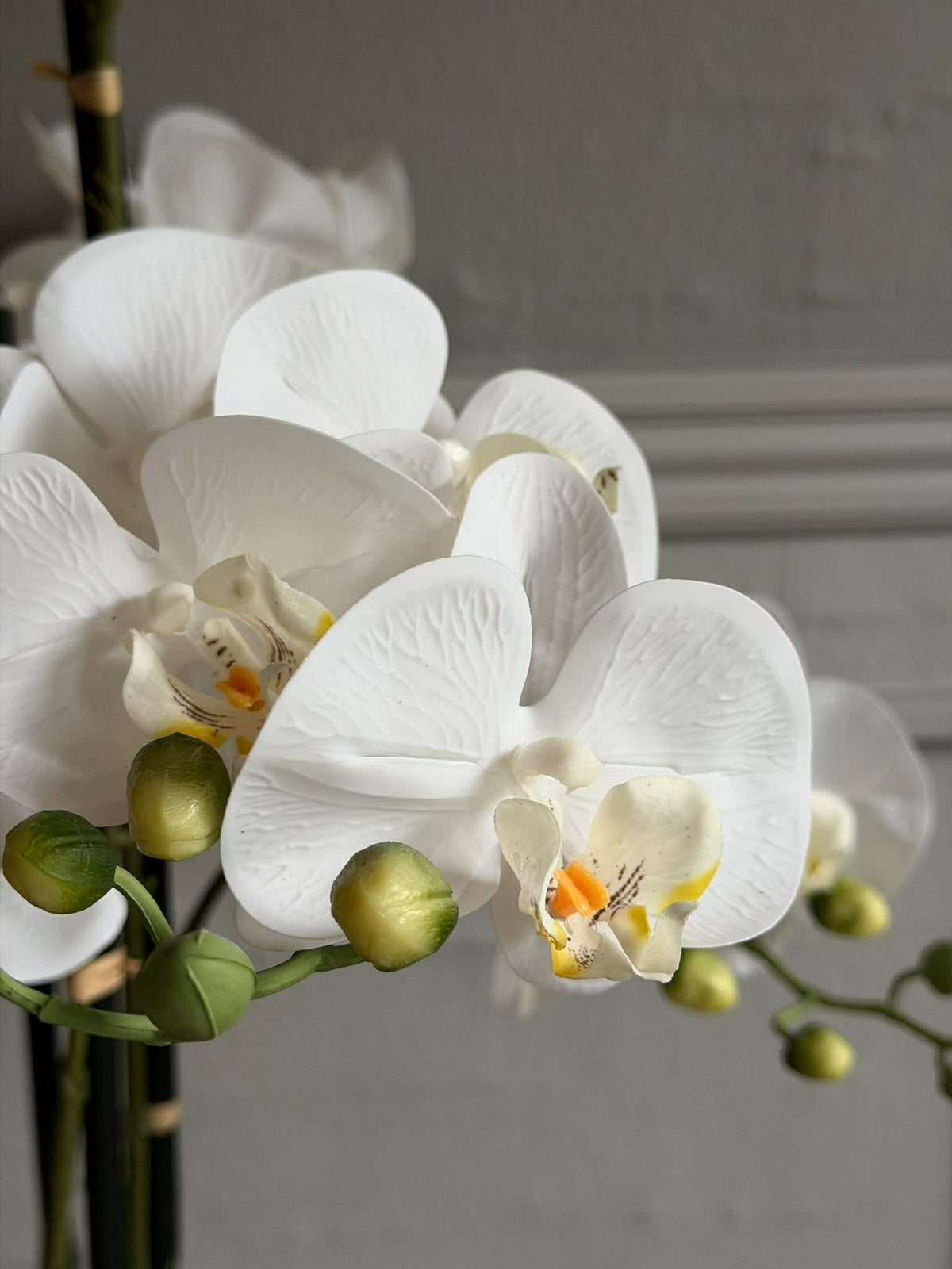 Orchidee in Pot 105 cm - Wit