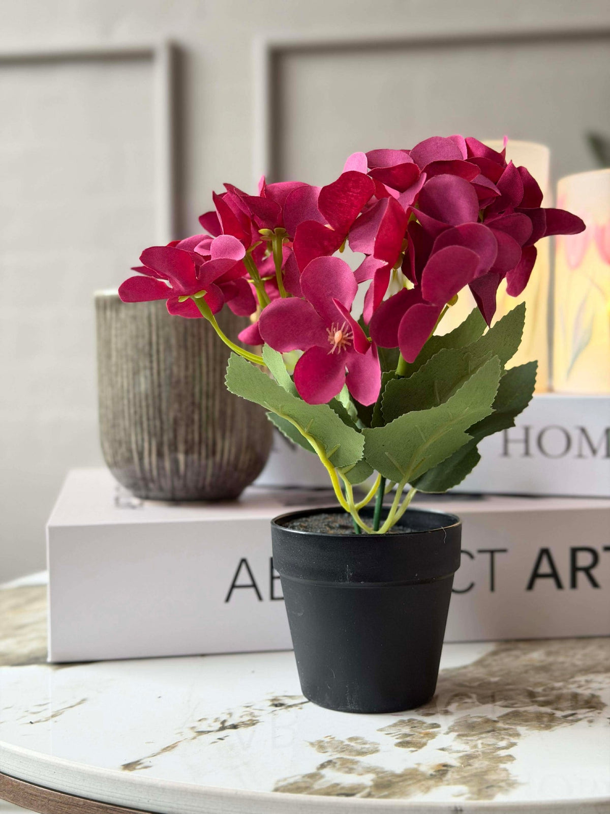 Mini hortensia in pot - meerdere kleuren