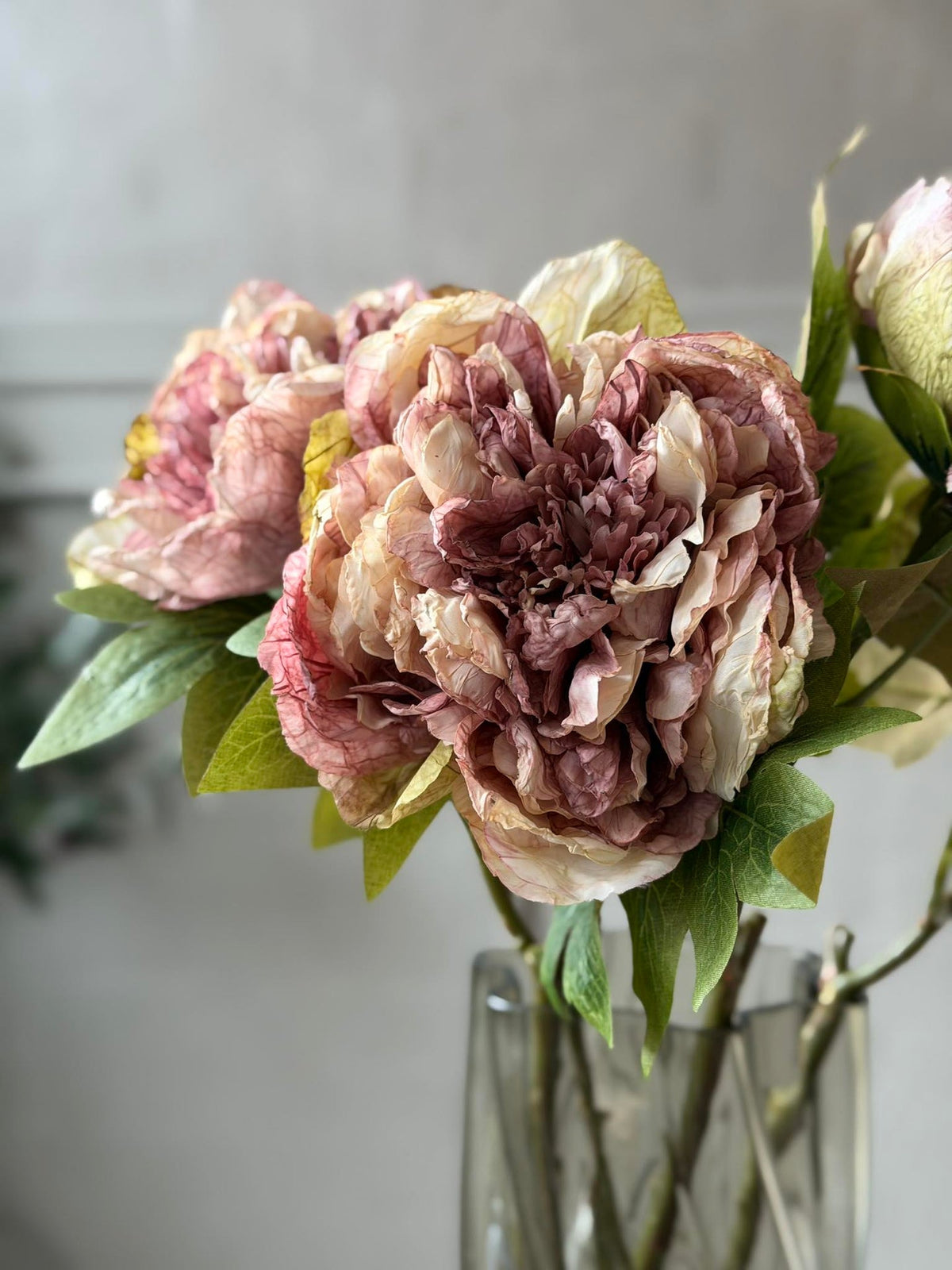 Bloem Pioen -  Antiek Crème / roze