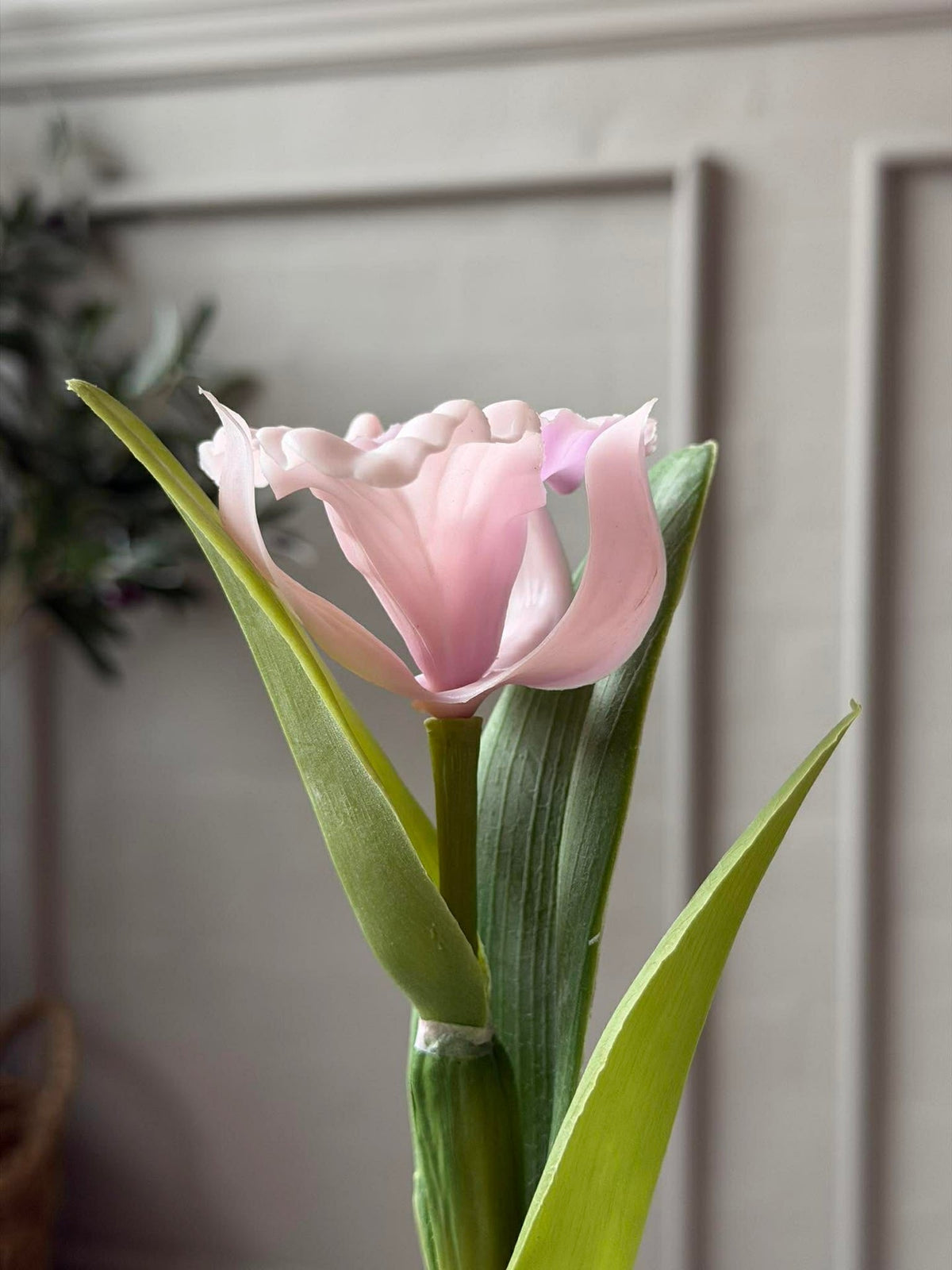 Orchidee in Pot Roze - Meerdere maten