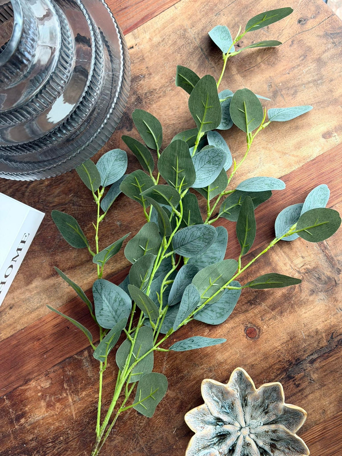 Eucalyptus tak - 100 cm