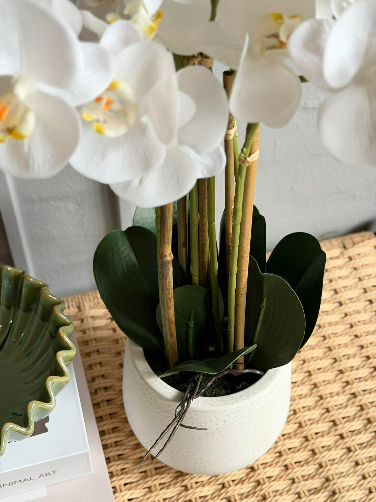 Orchidee in Pot 65 cm - Wit