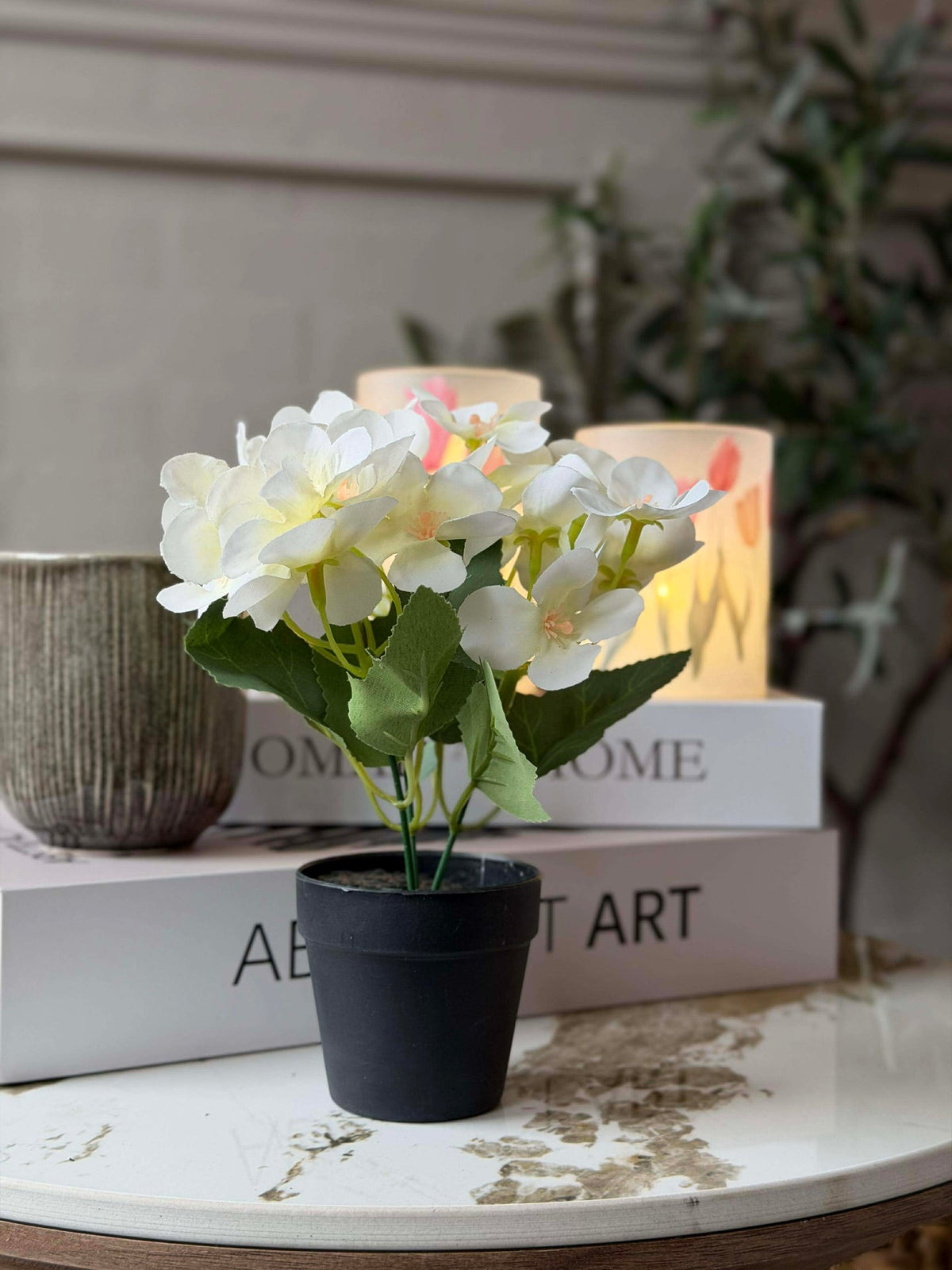 Mini hortensia in pot - meerdere kleuren