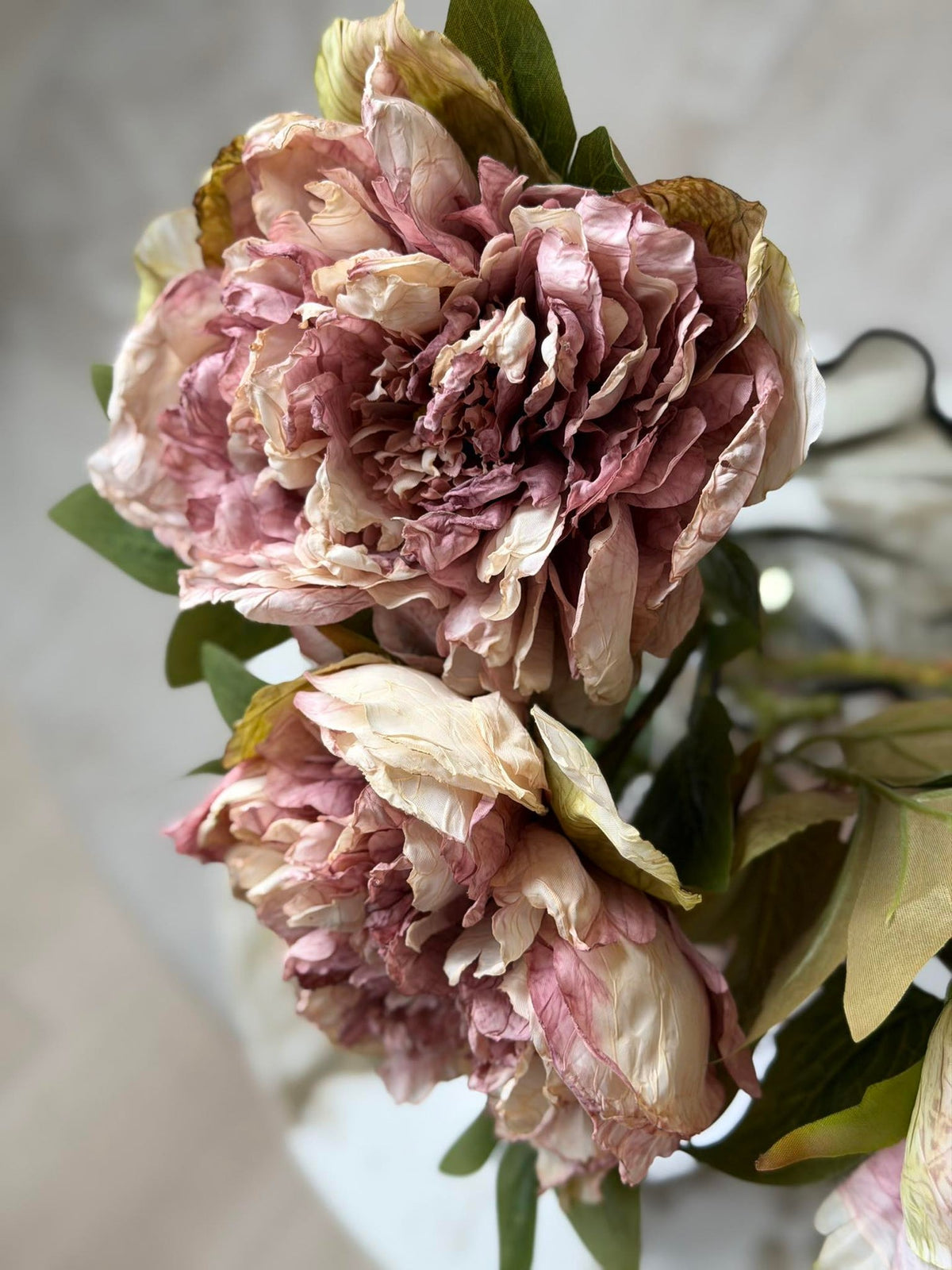 Bloem Pioen -  Antiek Crème / roze