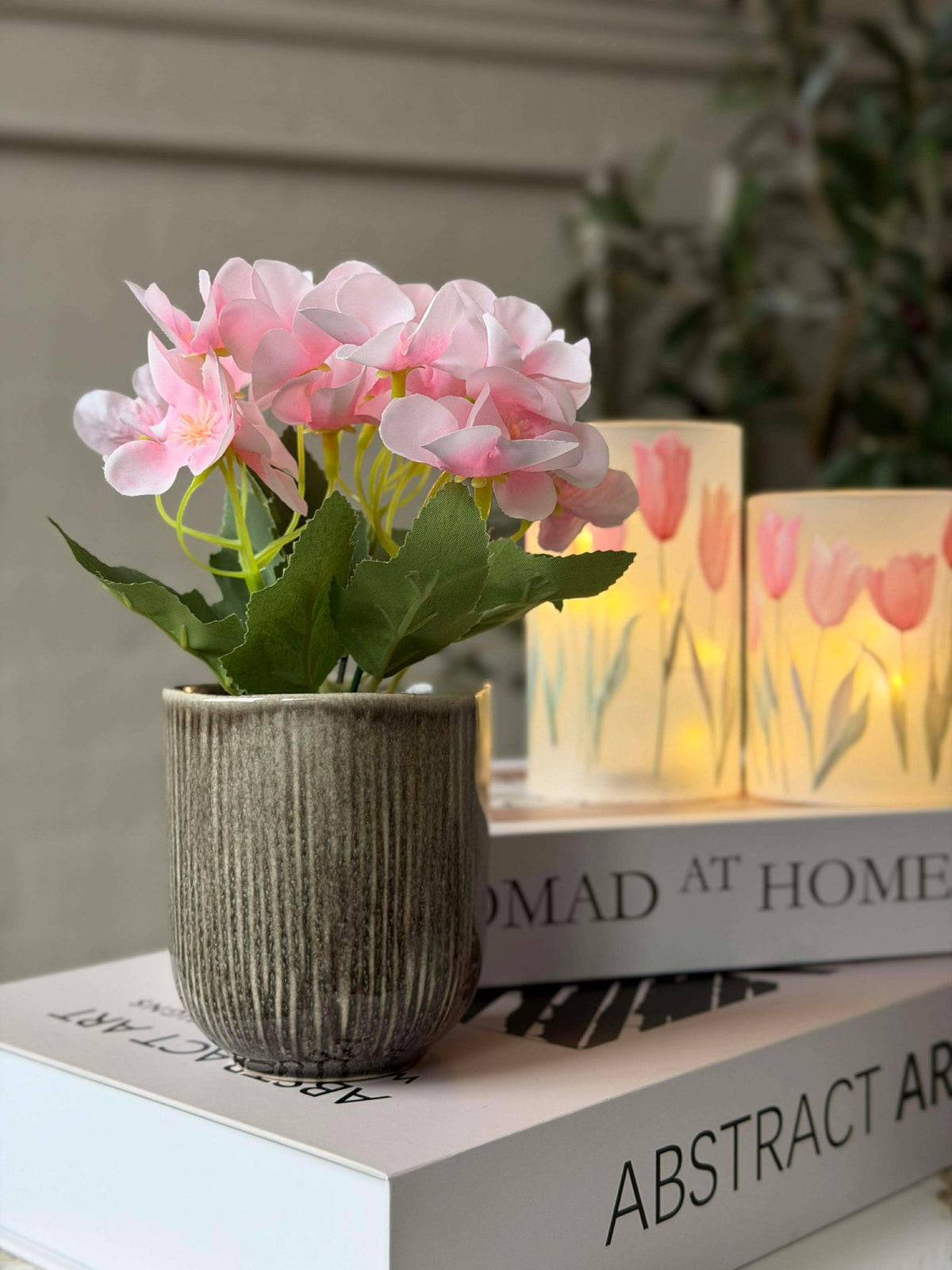 Mini hortensia in pot - meerdere kleuren