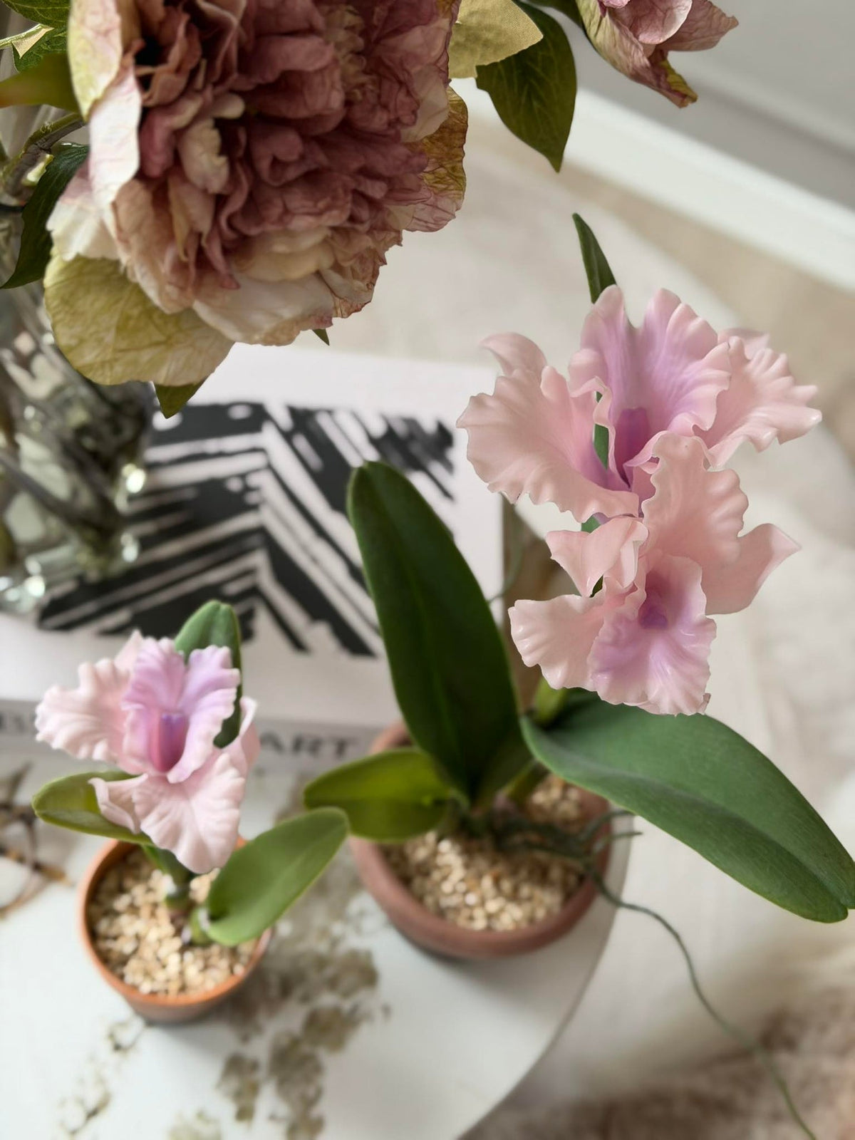 Orchidee in Pot Roze - Meerdere maten