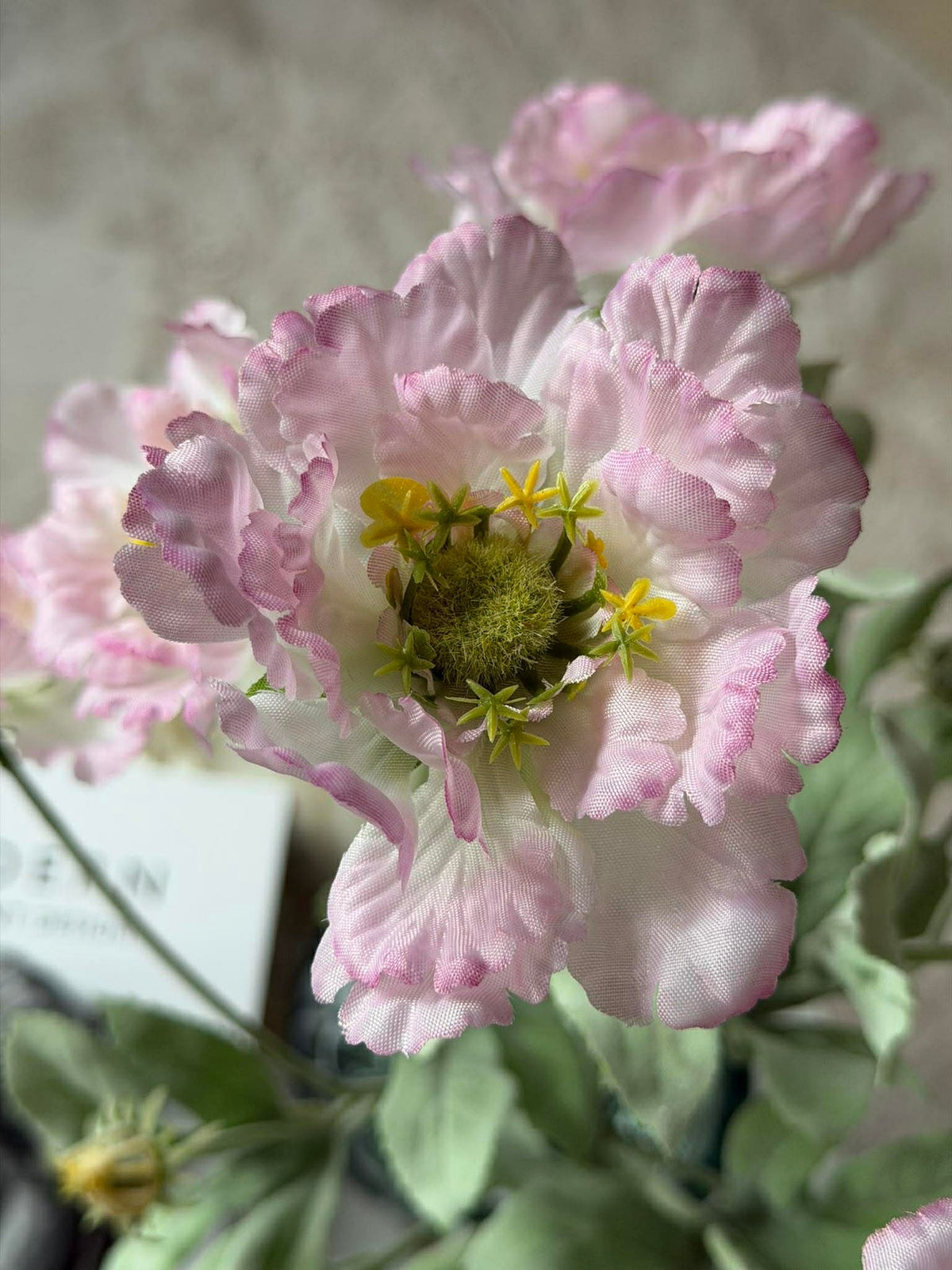 Papaverstengel 62 cm - Roze