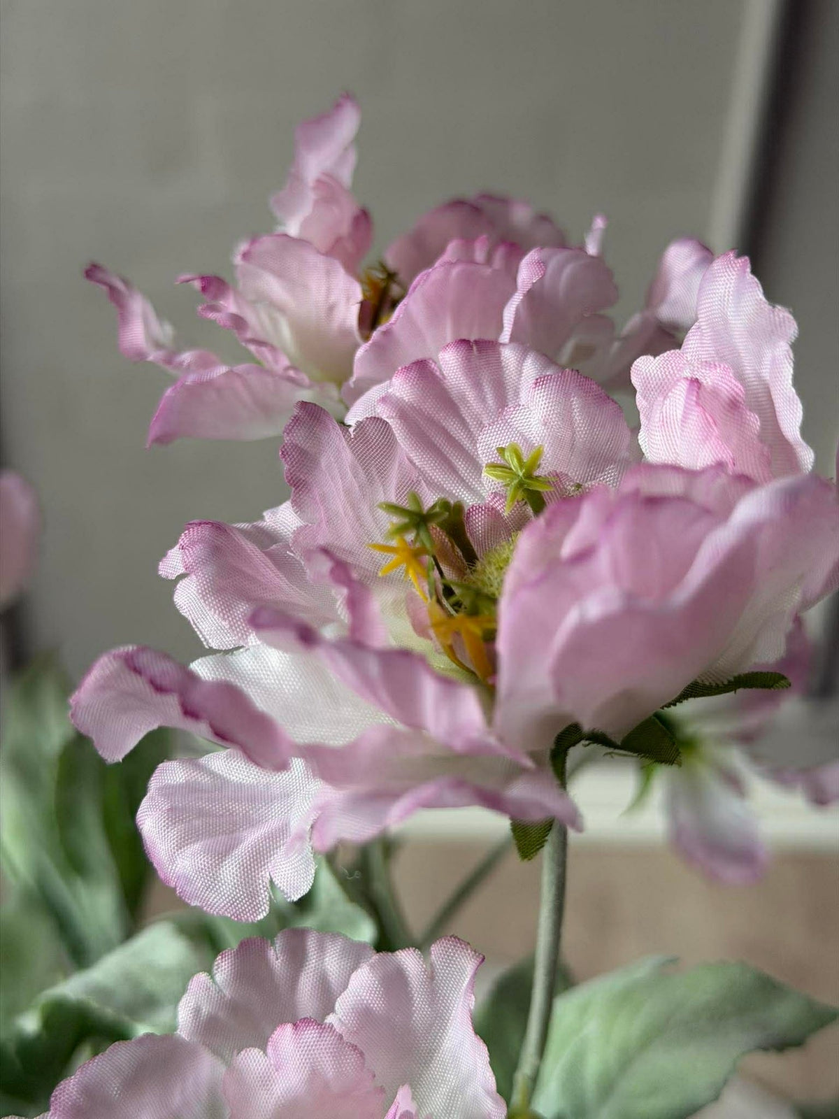 Papaverstengel 62 cm - Roze