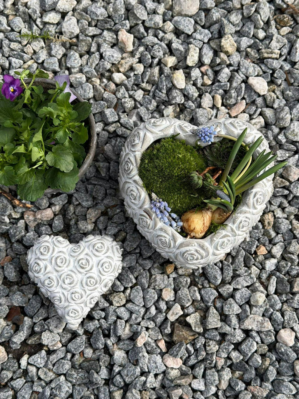 Hart met rozen