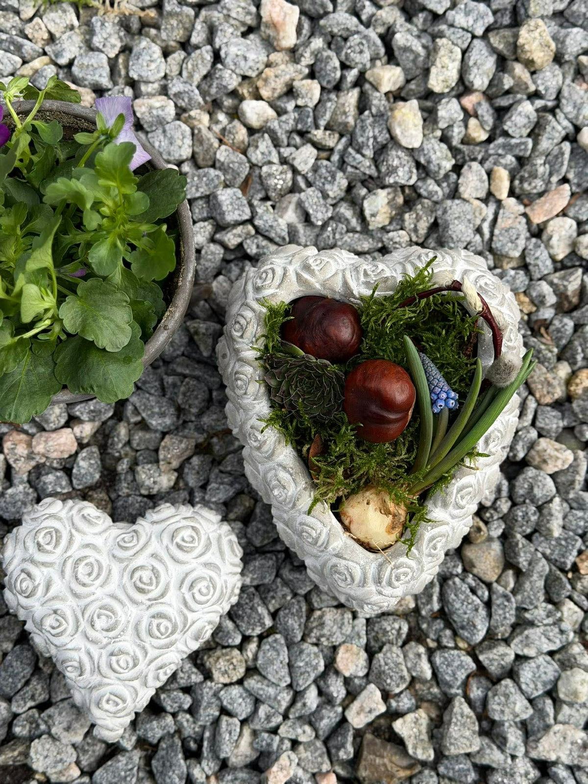 Hart met rozen