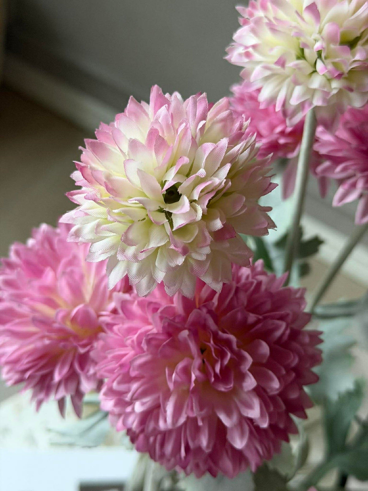 Sieruienstengel 60 cm - Roze