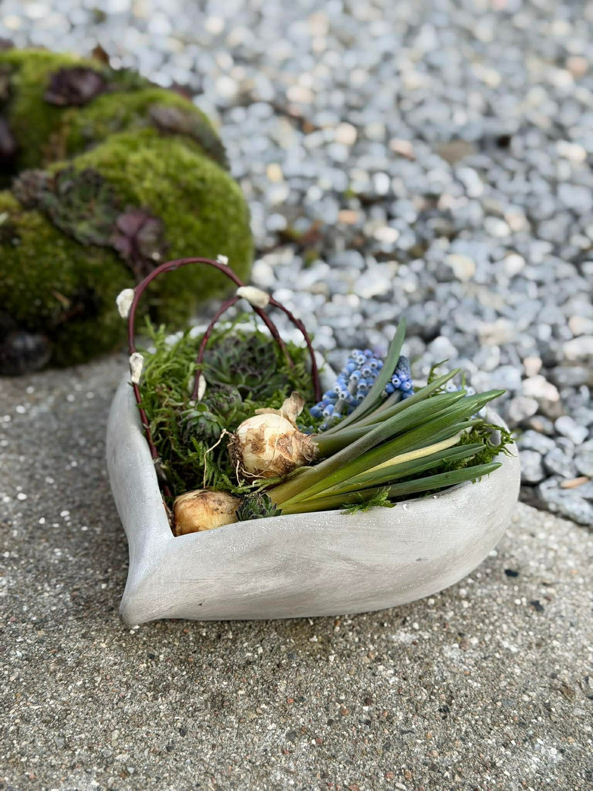 Hart voor beplanting