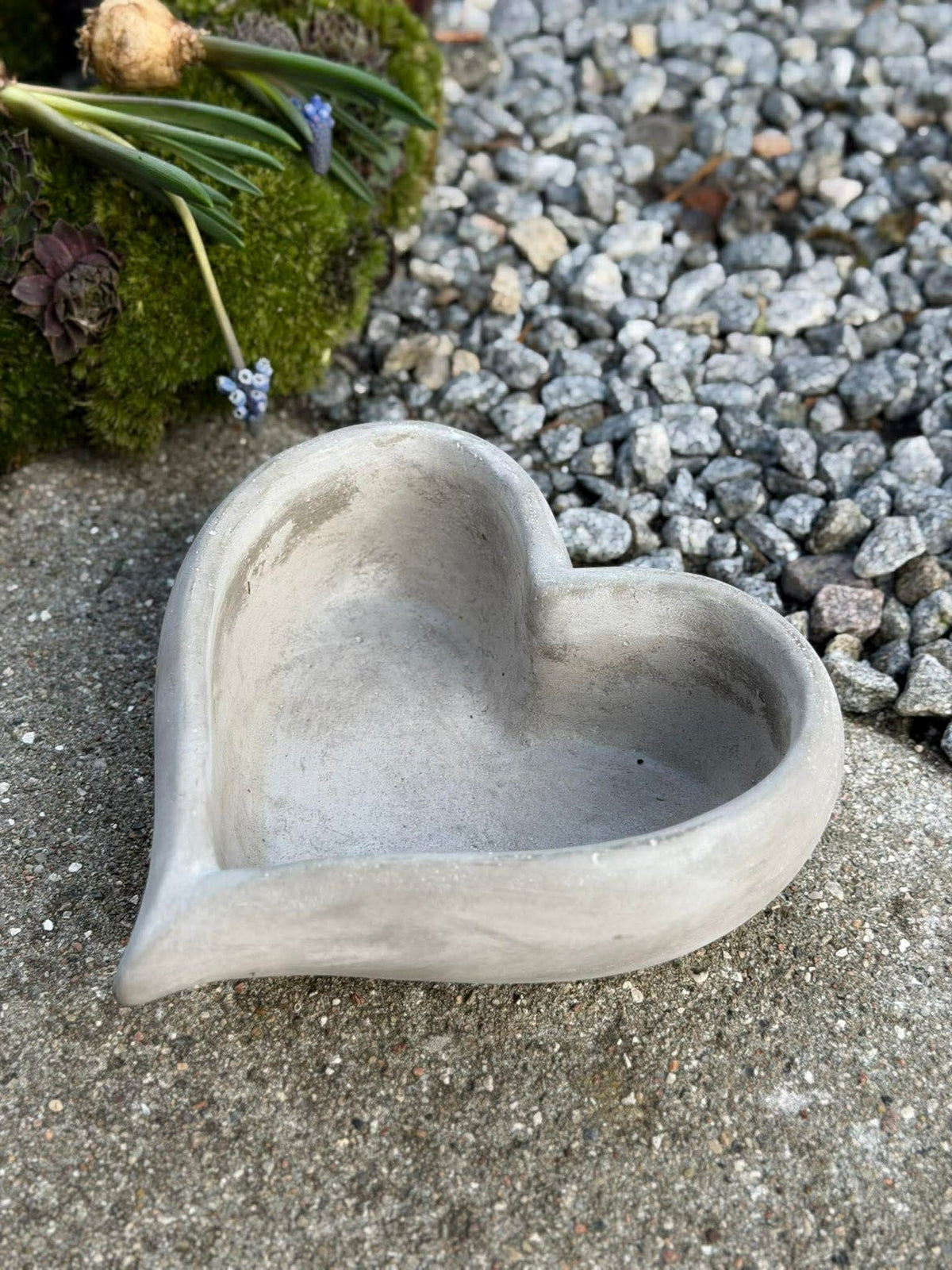 Hart voor beplanting
