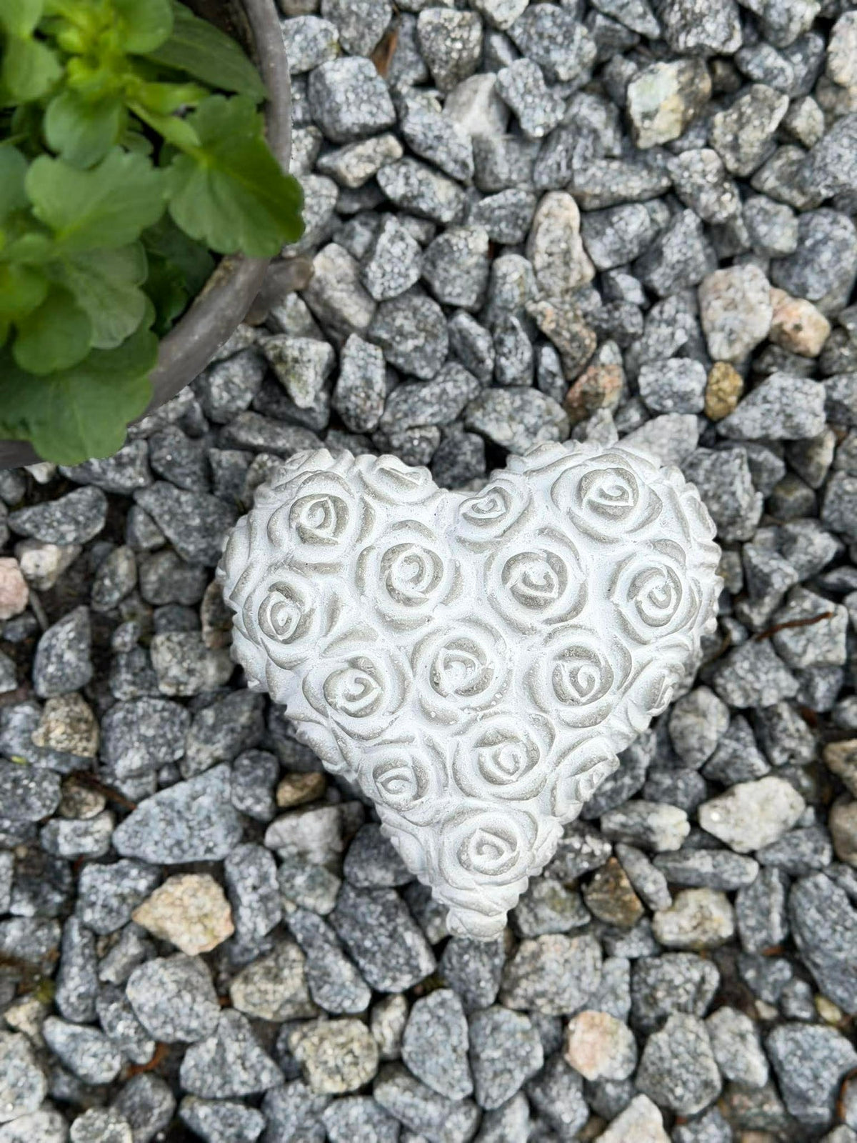 Hart met rozen