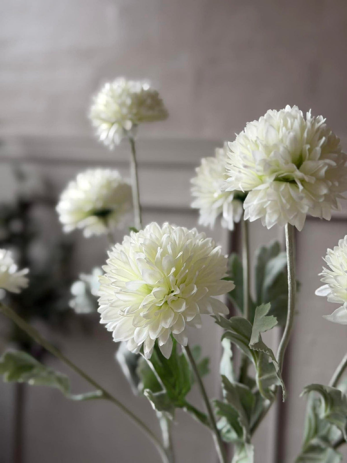 Sierui stengel 60 cm - Wit