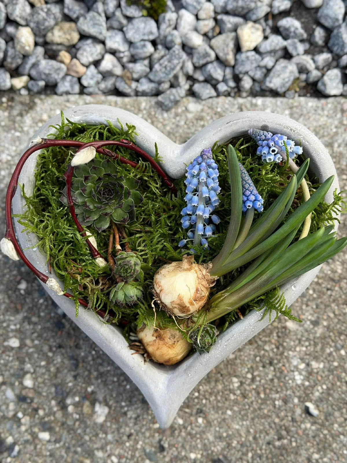 Hart voor beplanting