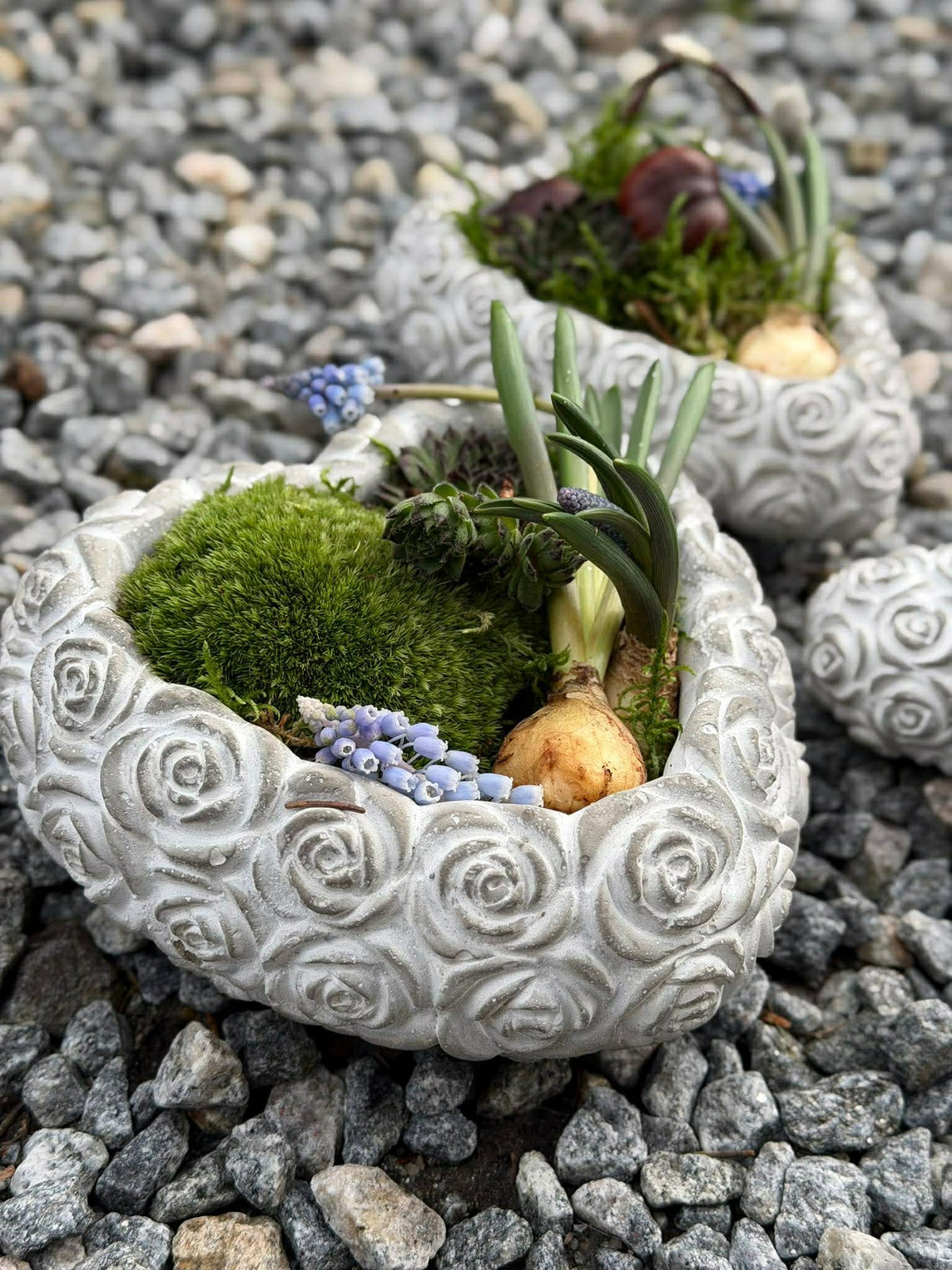 Hart met Rozen - Meerdere maten