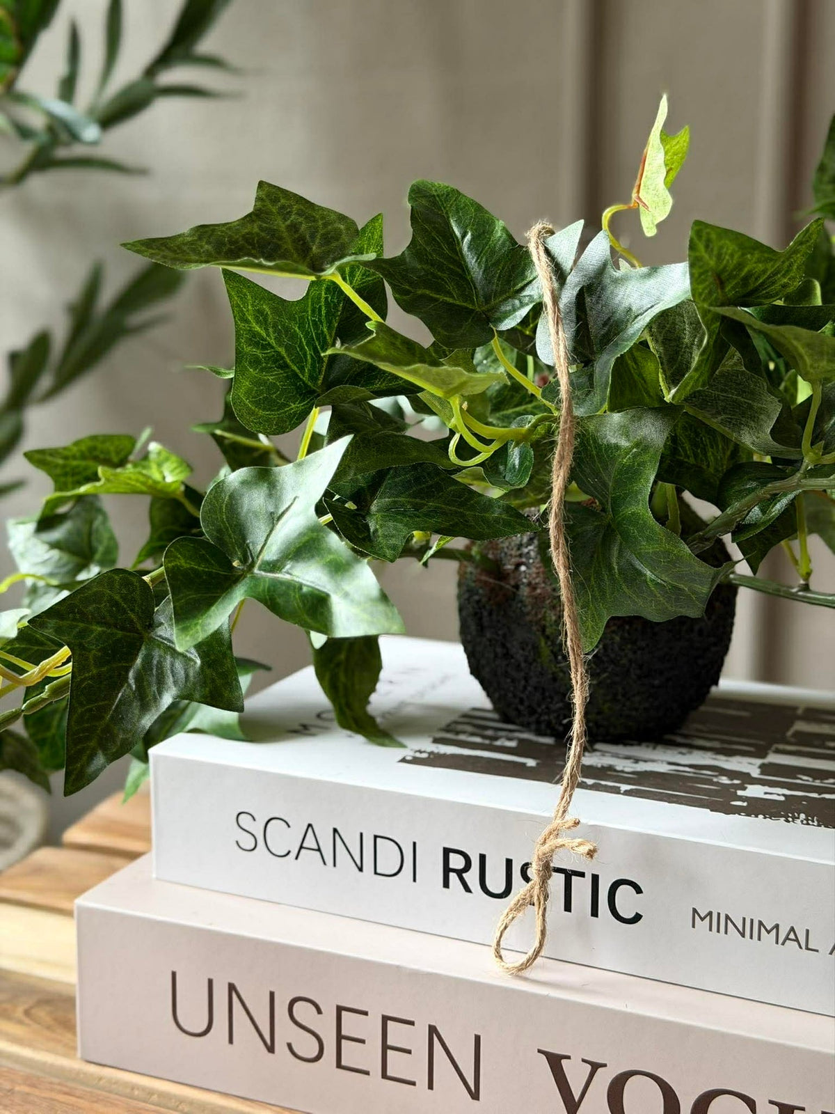 Hangplant klimop