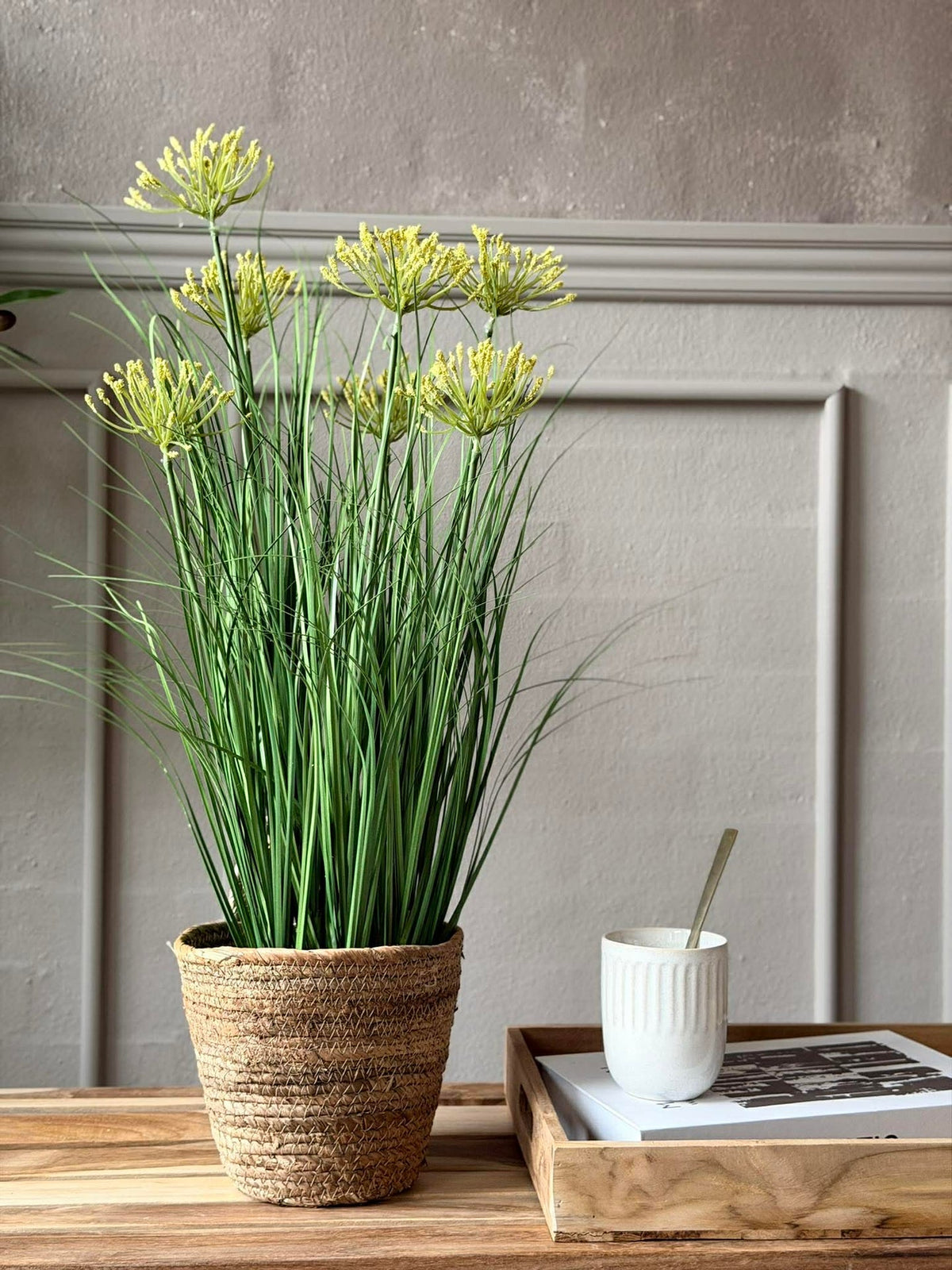 Schermbloem in pot voor binnen en buiten - 70 cm