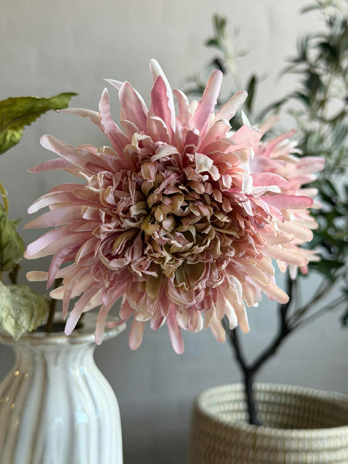 Chrysantentak 17 cm - Roze
