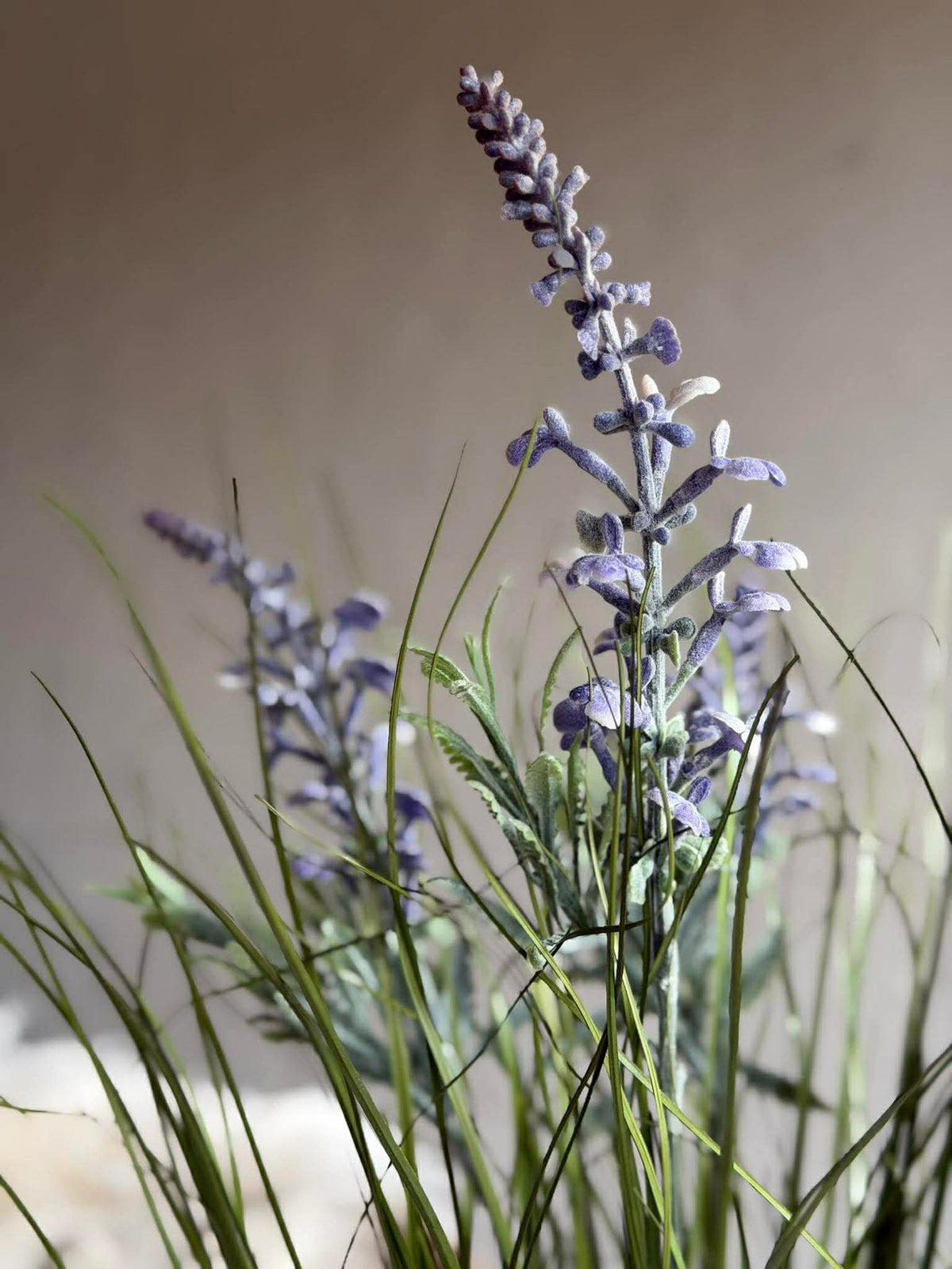 Lavendel in boeket voor binnen en buiten - 70 cm
