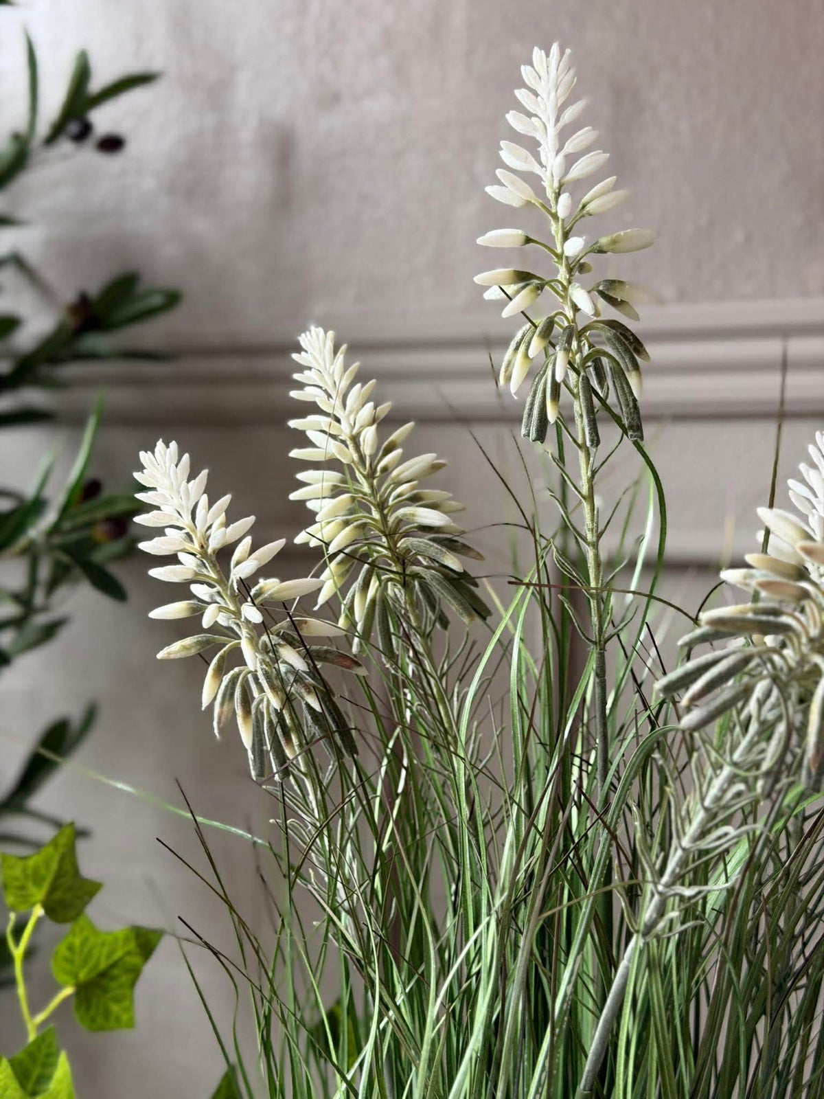 Witte lupine in pot voor binnen en buiten - 60 cm