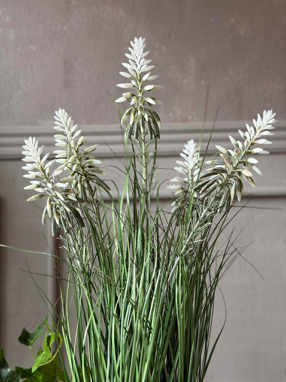 Witte lupine in pot voor binnen en buiten - 60 cm