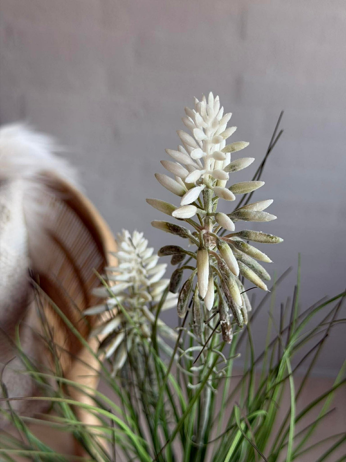 Witte lupine in boeket voor binnen en buiten - 70 cm