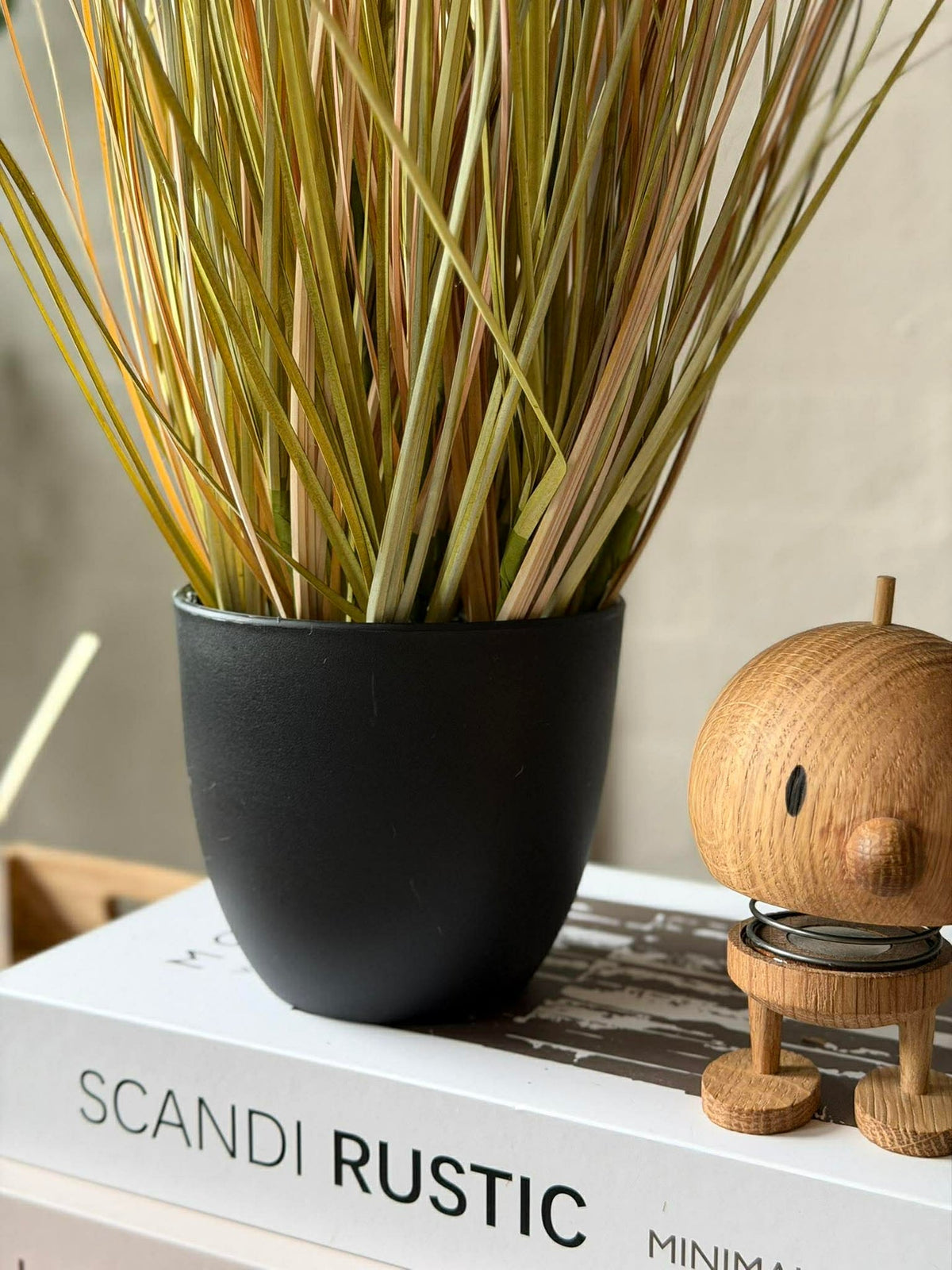 Pampas in pot voor binnen en buiten - 60 cm