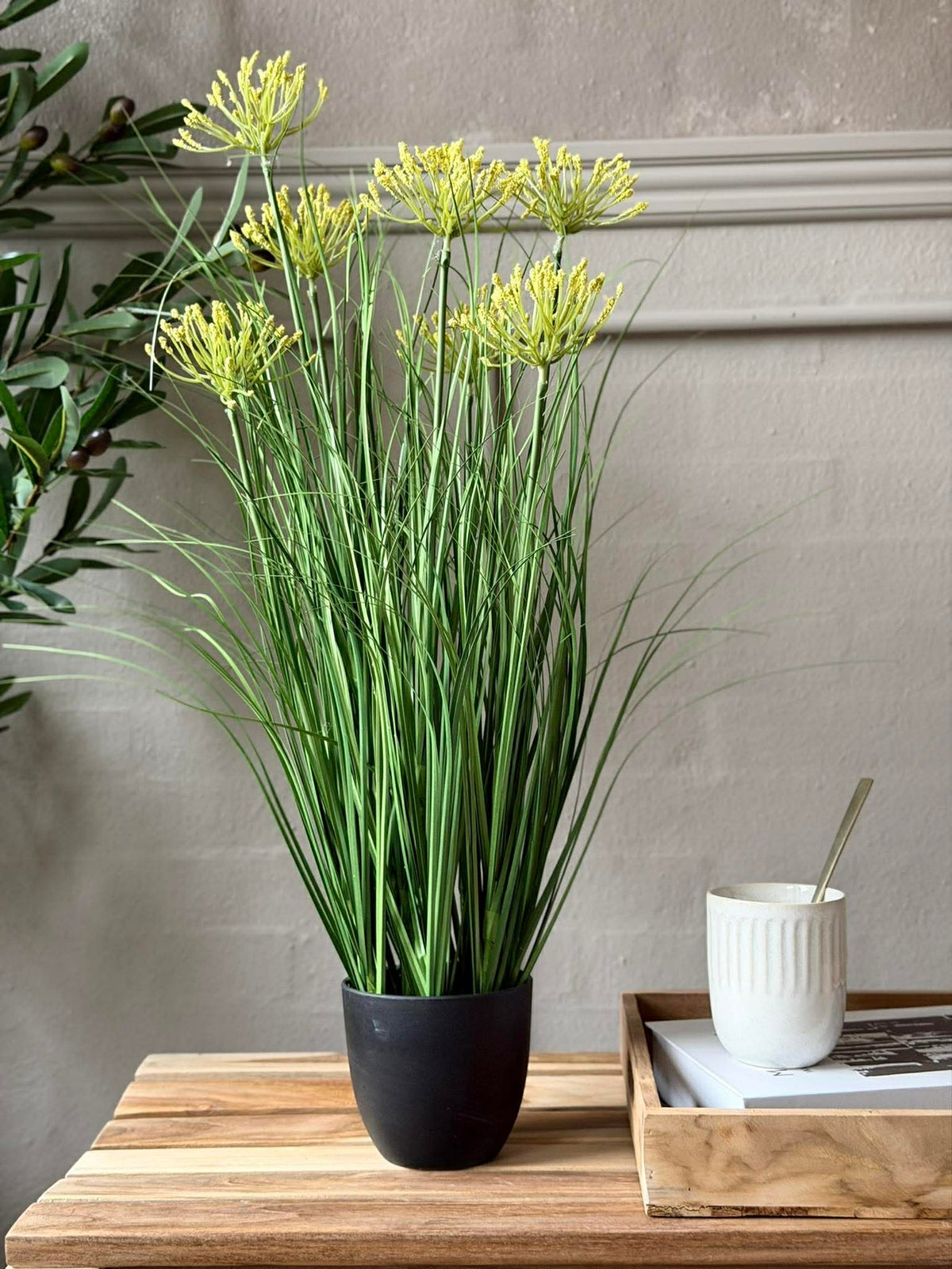 Schermbloem in pot voor binnen en buiten - 70 cm