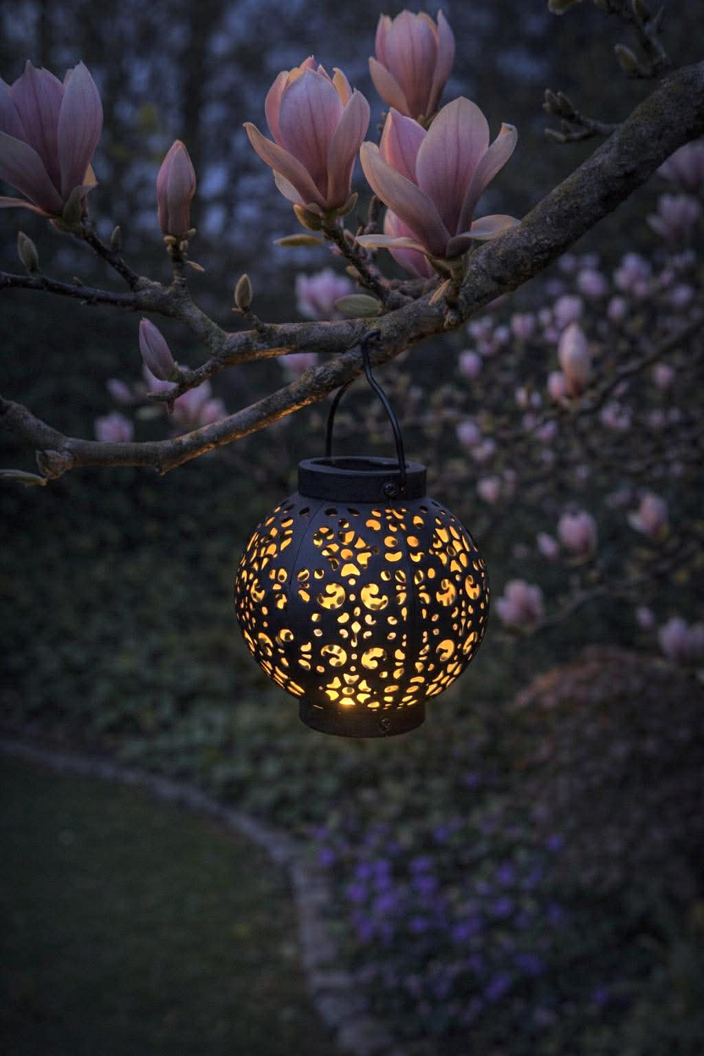 Lantaarn met zonnecellen - Alva black