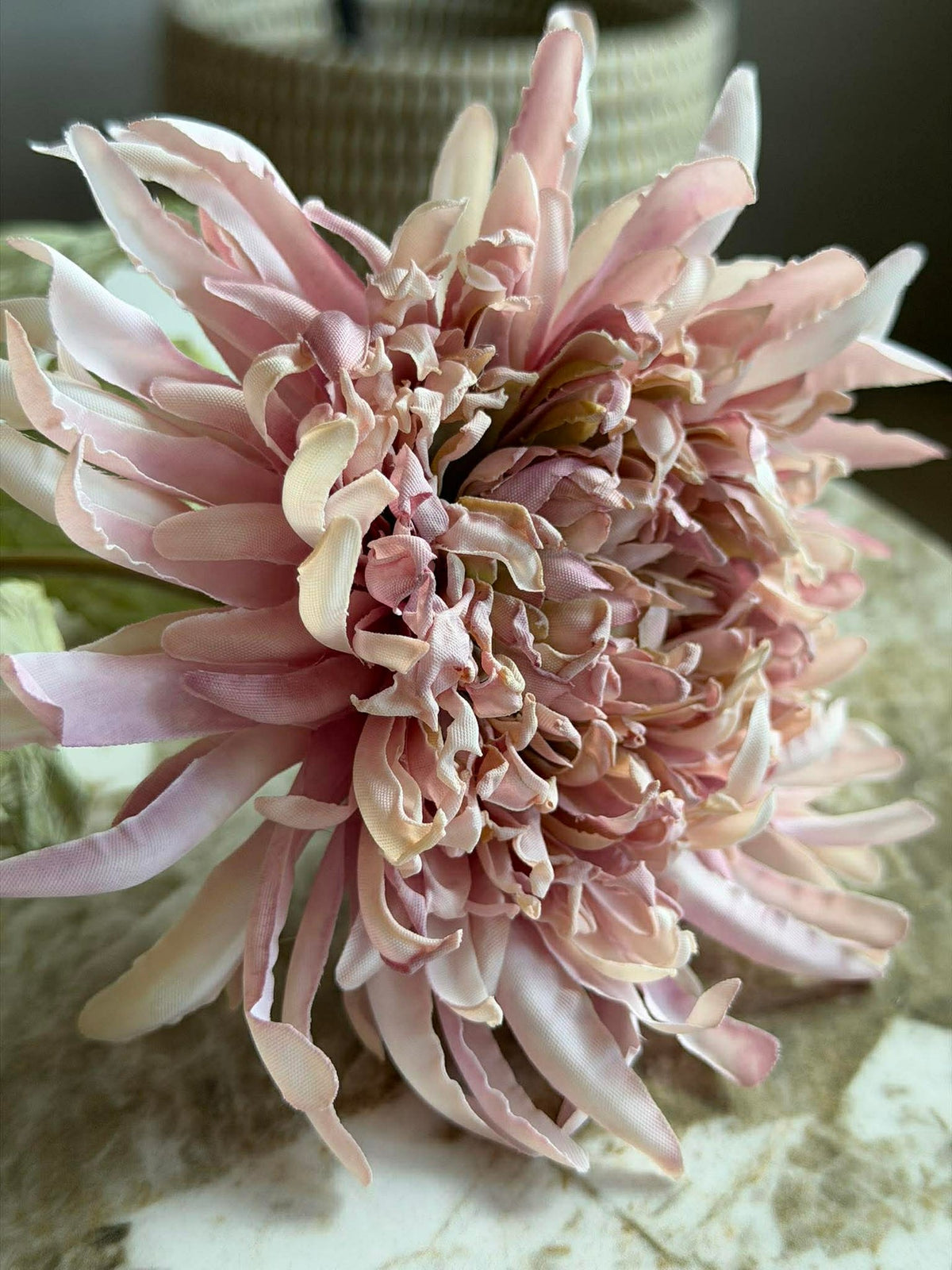 Chrysantentak 17 cm - Roze