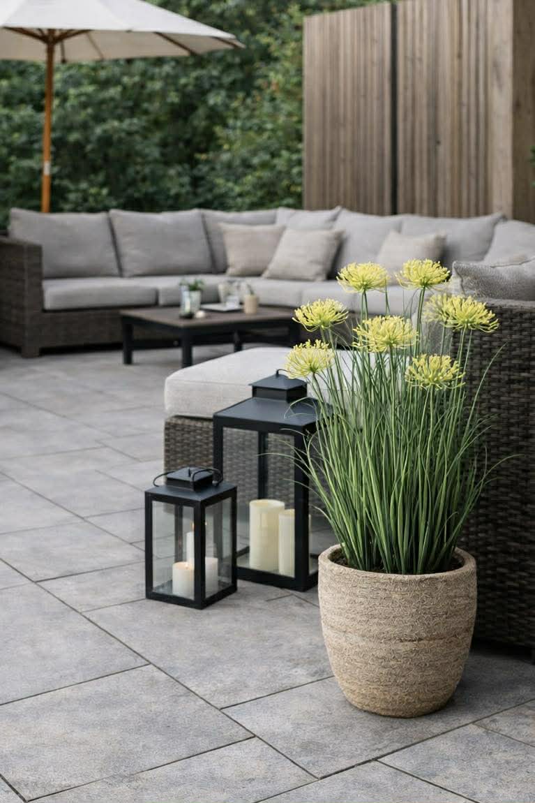 Schermbloem in pot voor binnen en buiten - 70 cm