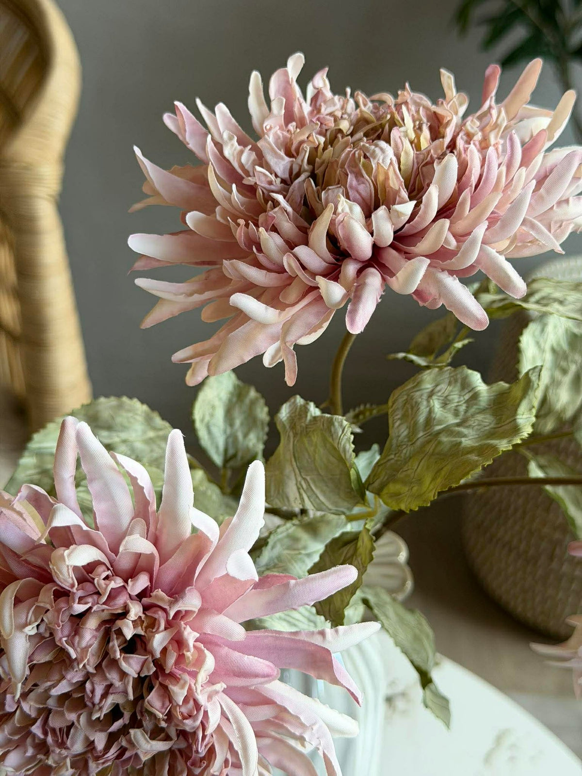 Chrysantentak 17 cm - Roze