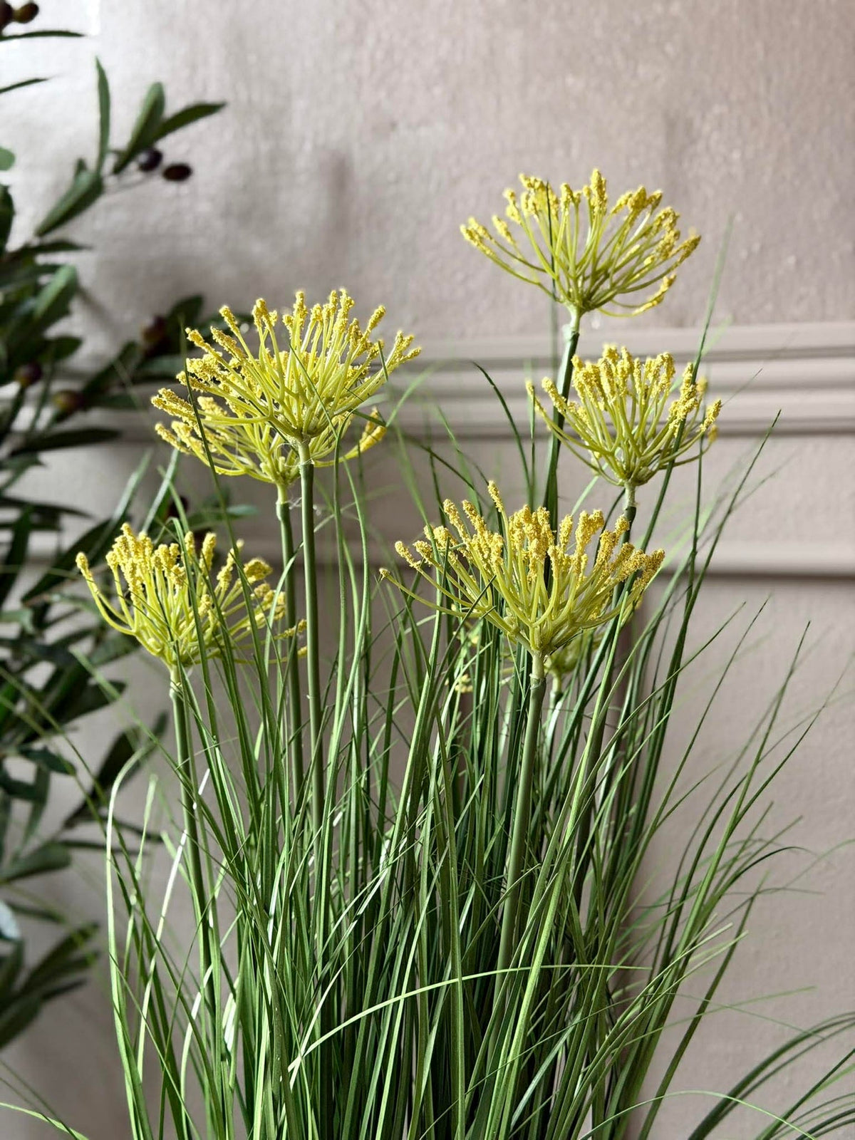 Schermbloem in pot voor binnen en buiten - 70 cm