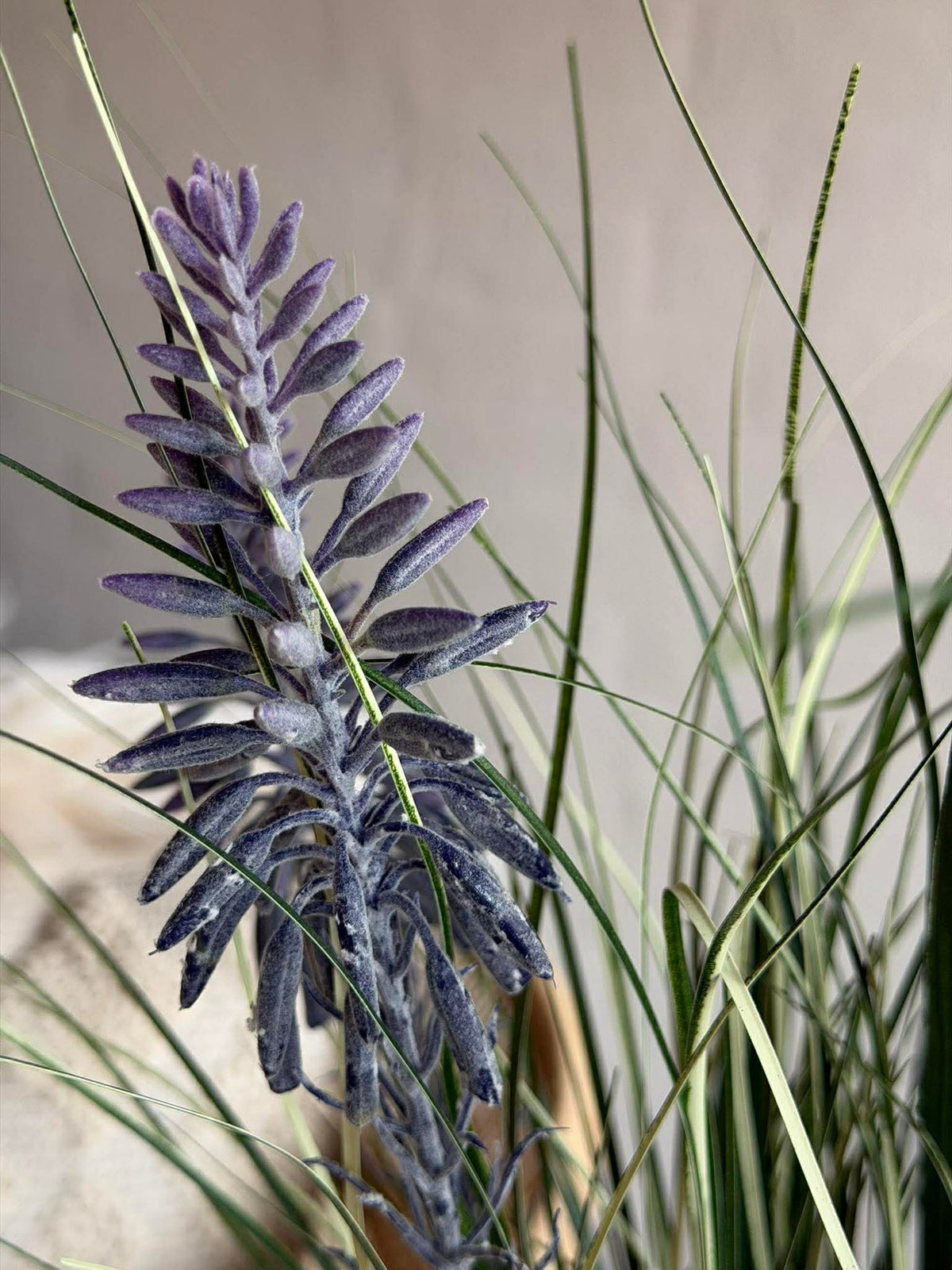 Lupine in boeketvorm voor binnen en buiten - 70 cm