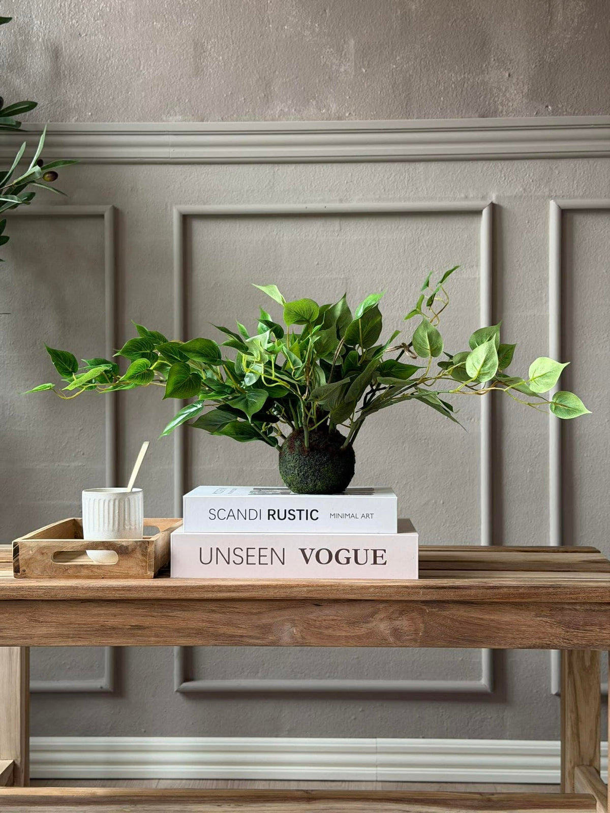 Hangplant hart philodendron