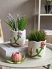 Plantenhoes met Roos - Meerdere kleuren