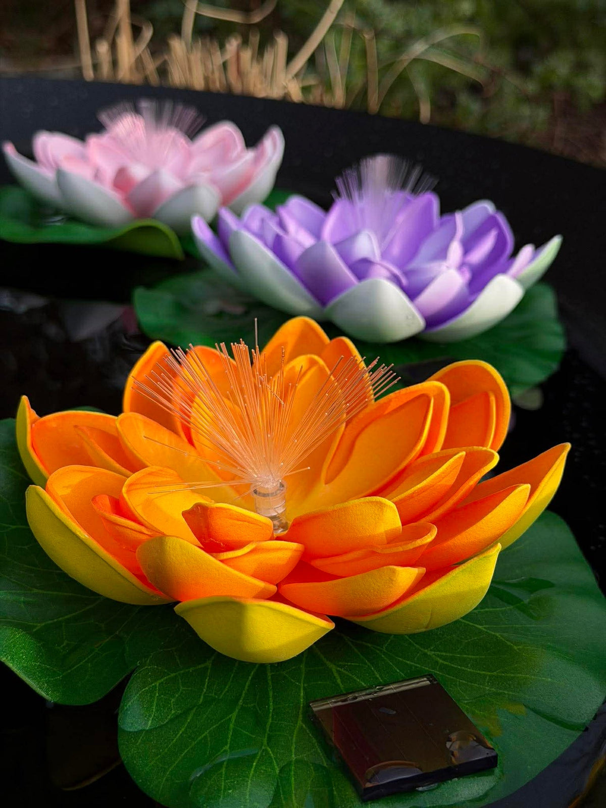 Lotus met solar - Meerdere kleuren
