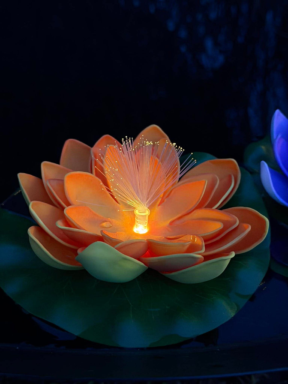 Lotus met solar - Meerdere kleuren