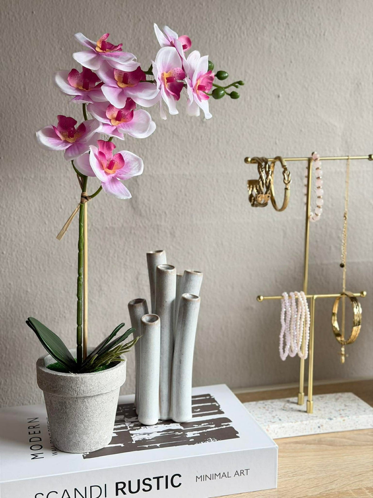 Orchidee in Pot - Meerdere kleuren