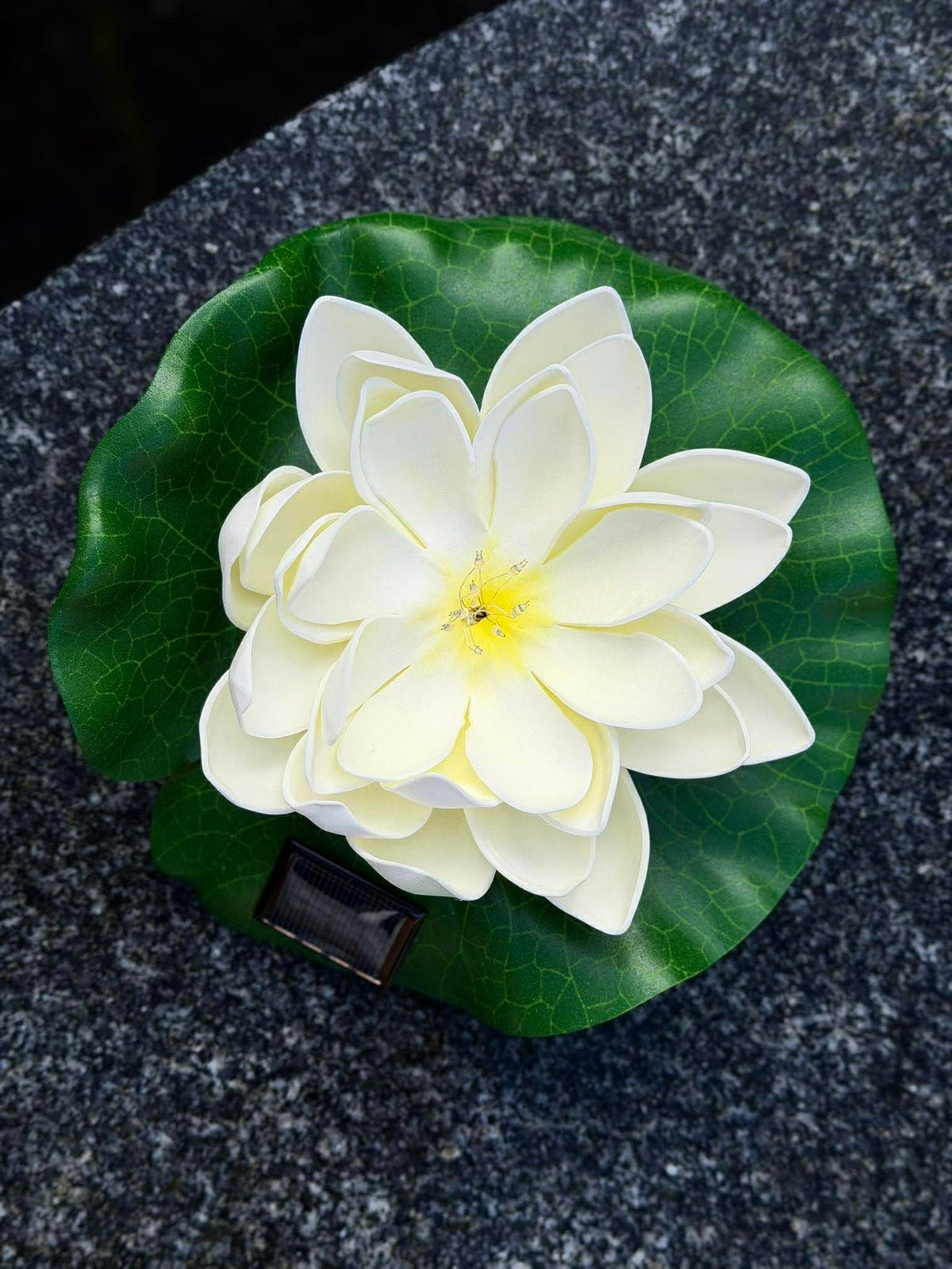 Solar LOTUS – Wit
