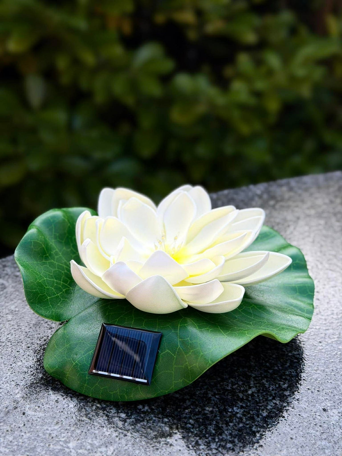 Solar LOTUS – Wit