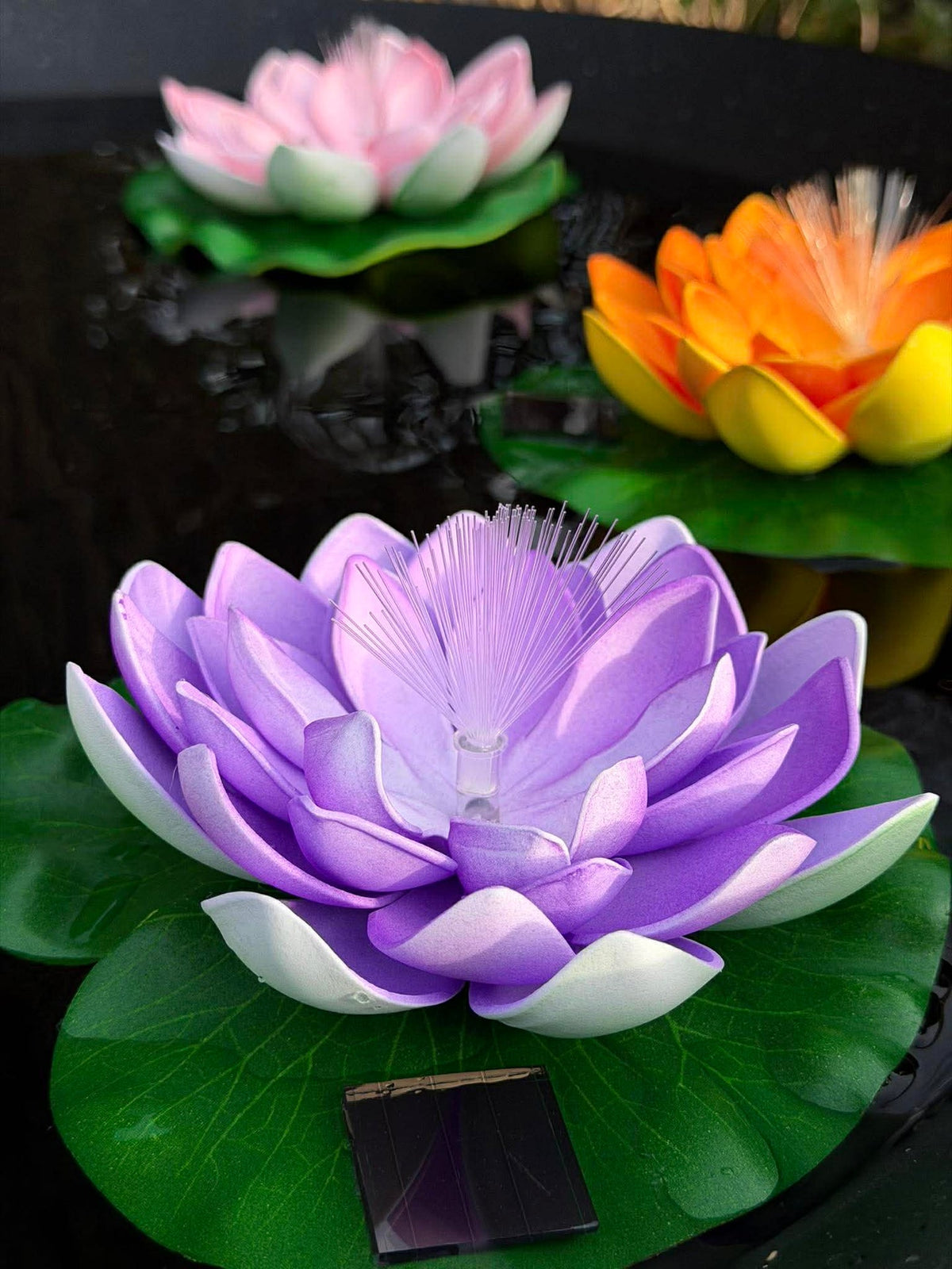Lotus met solar - Meerdere kleuren