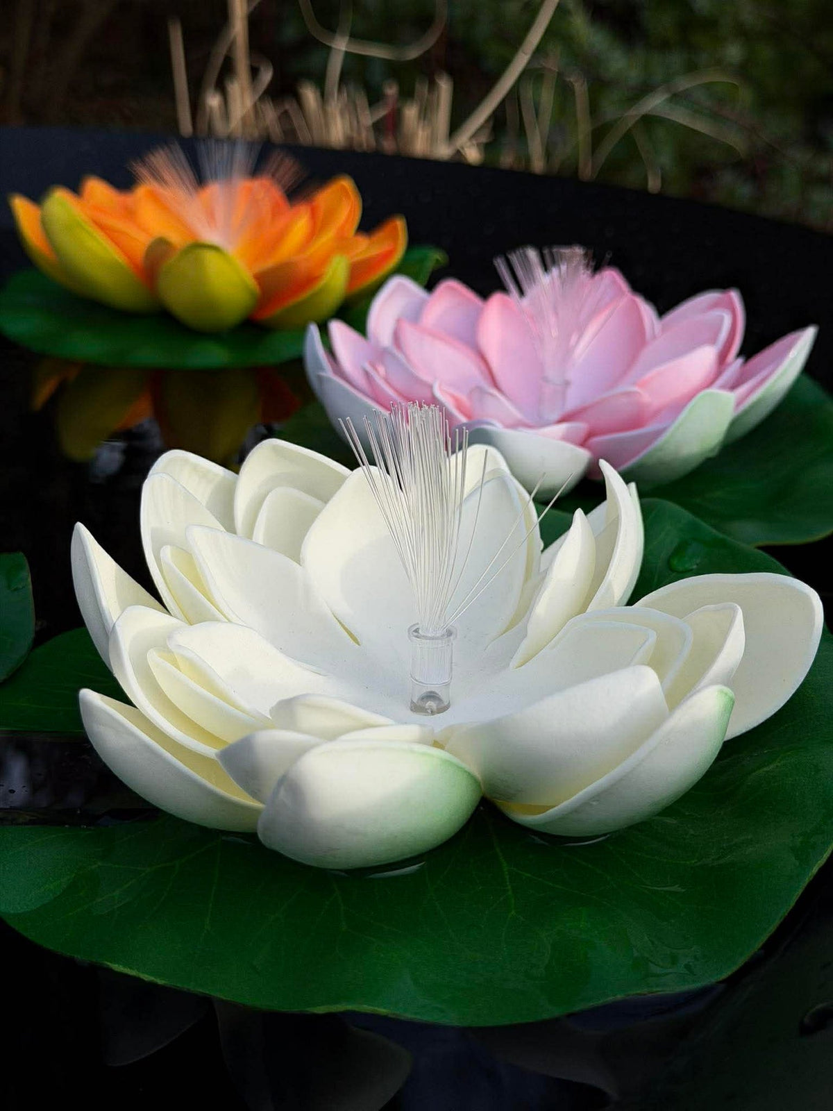 Lotus met solar - Meerdere kleuren