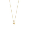 Ketting ALAIA verguld