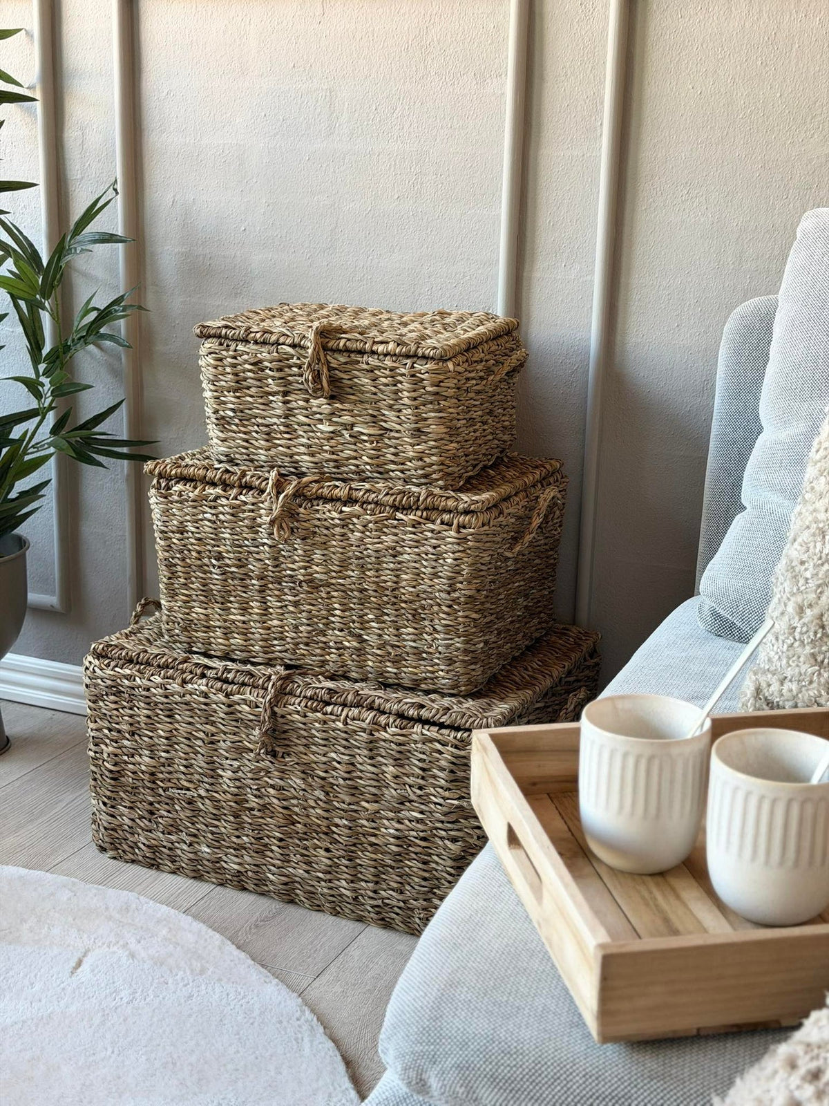 Manden met deksel voor opberging - Set van 3 stuks